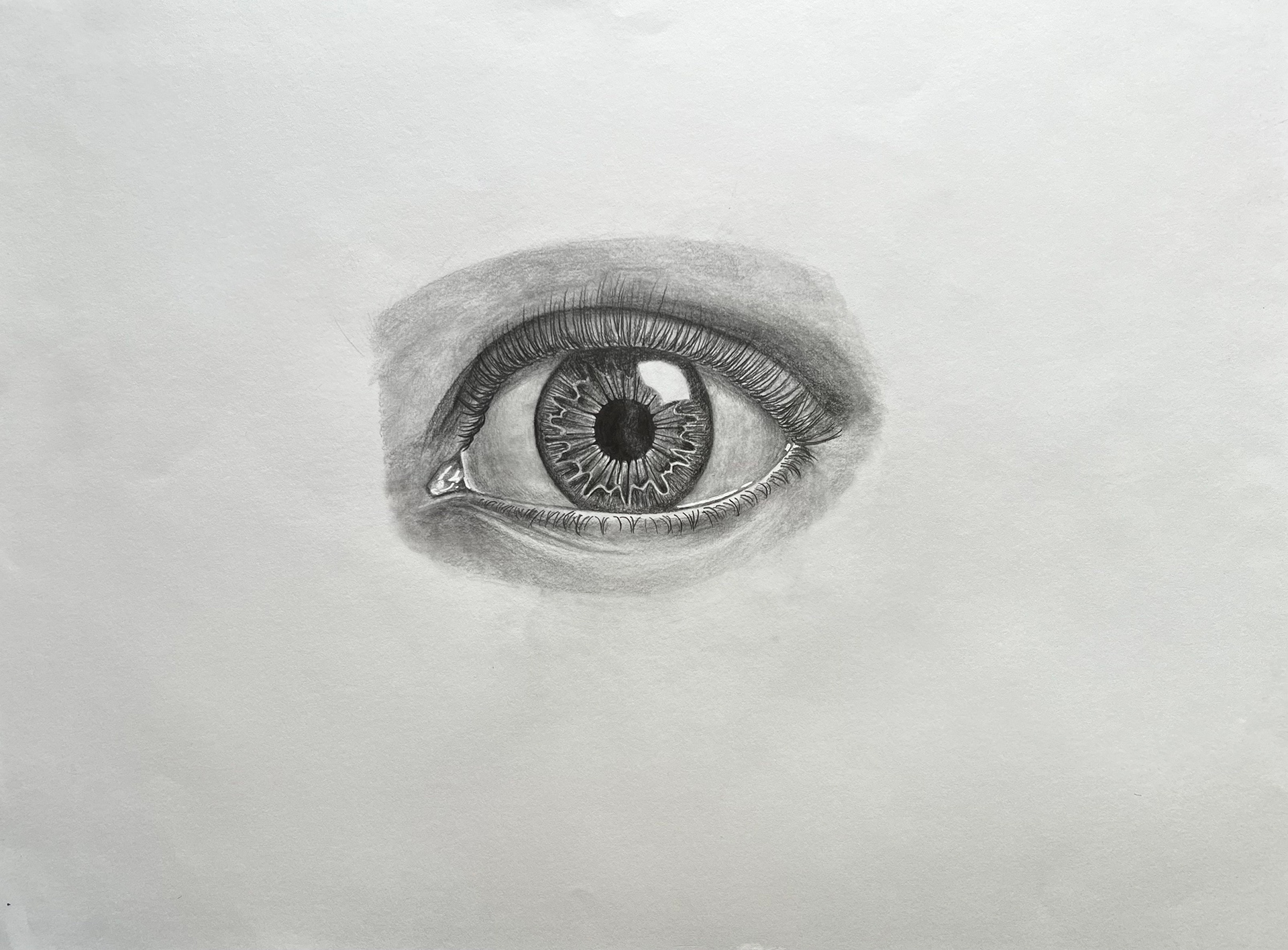 Clear, 18"x24", Graphite on paper