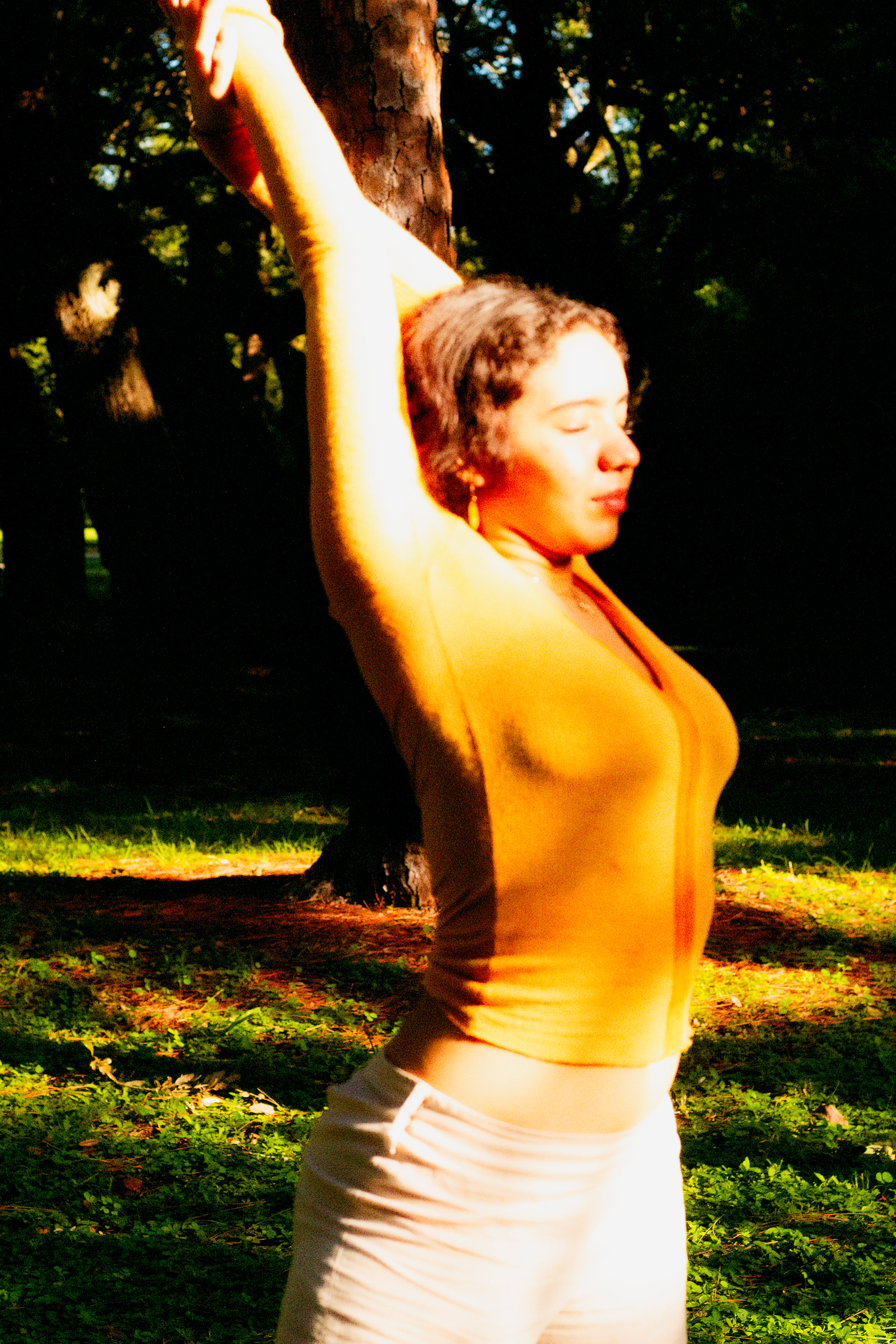 Introspection_2