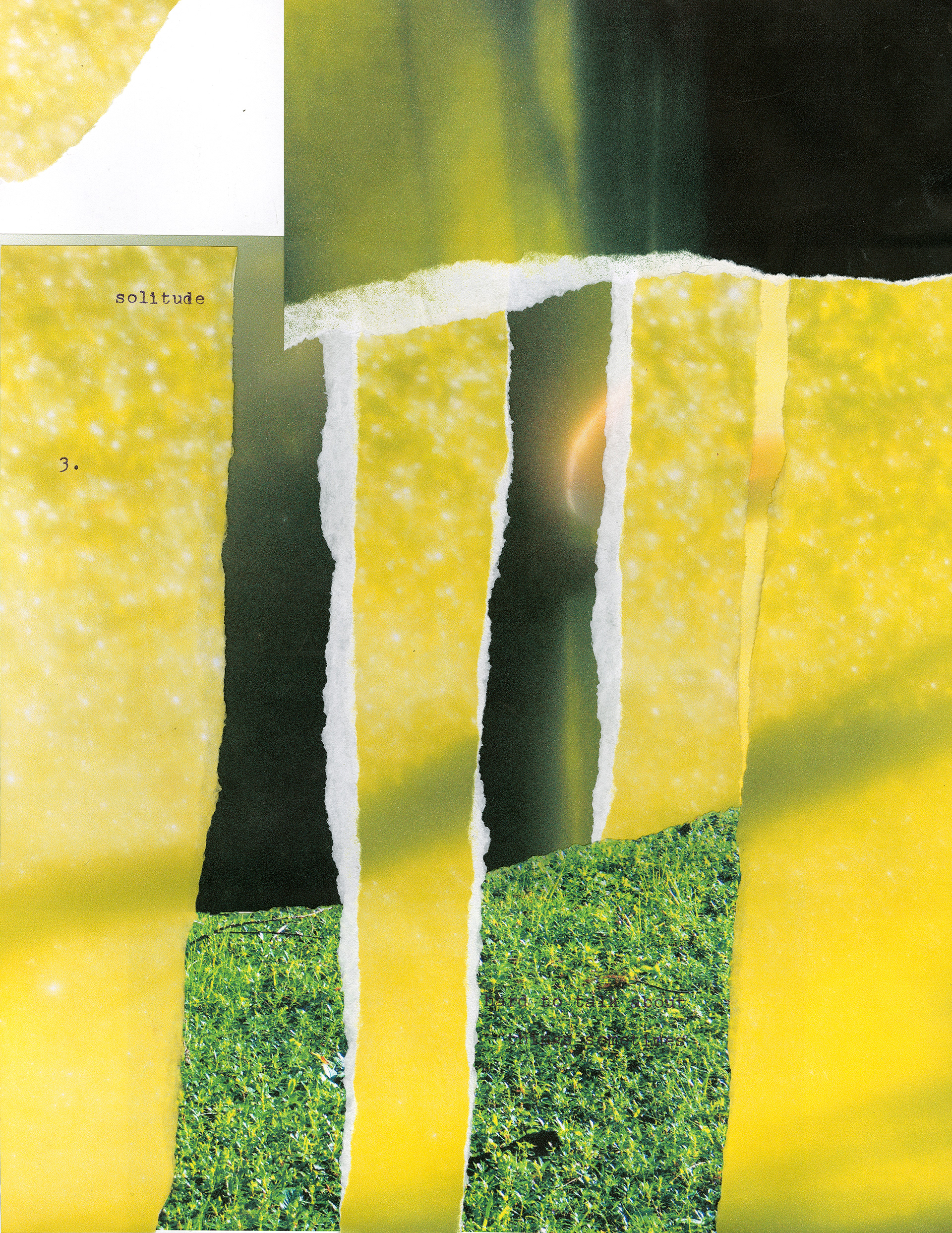 Introspection_3