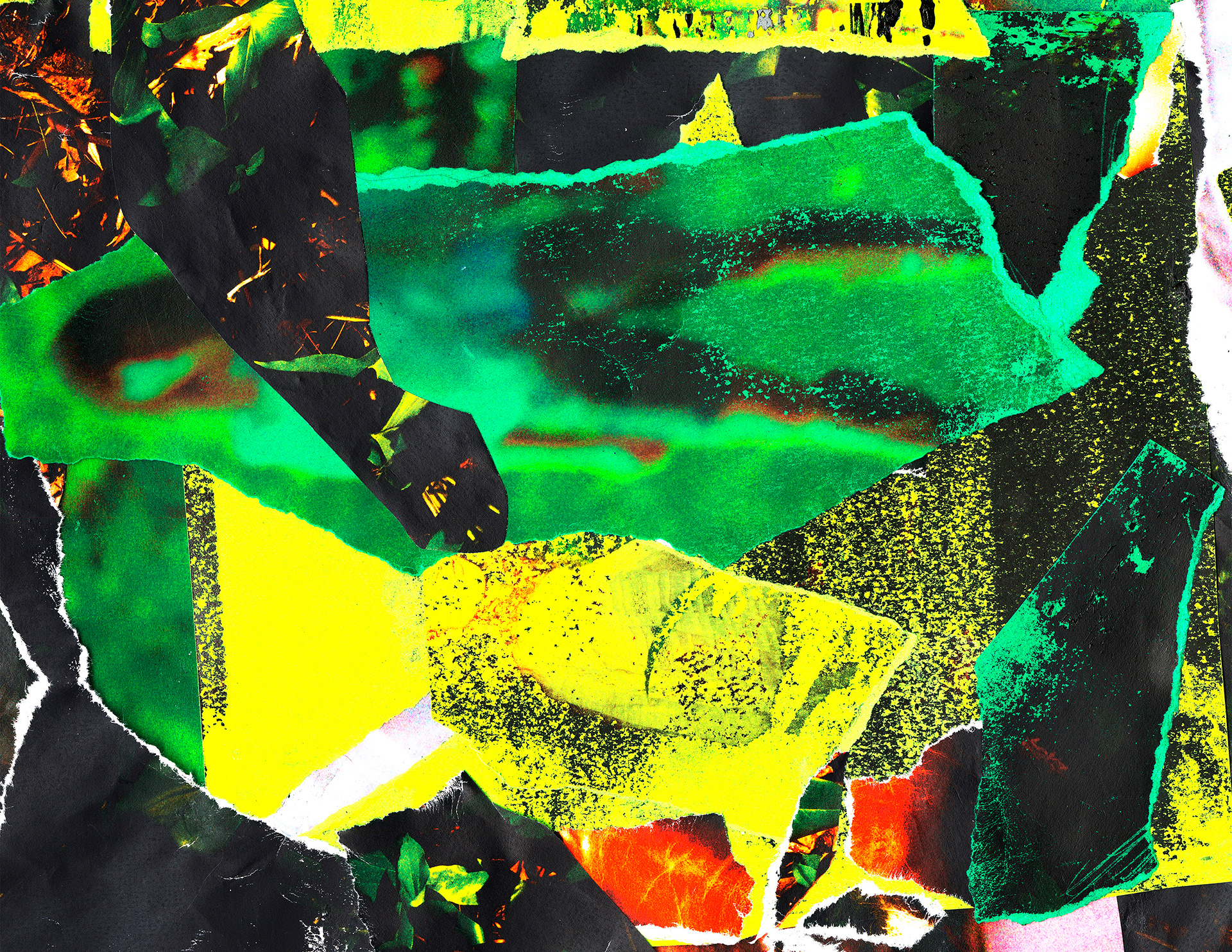 Borrow_2
