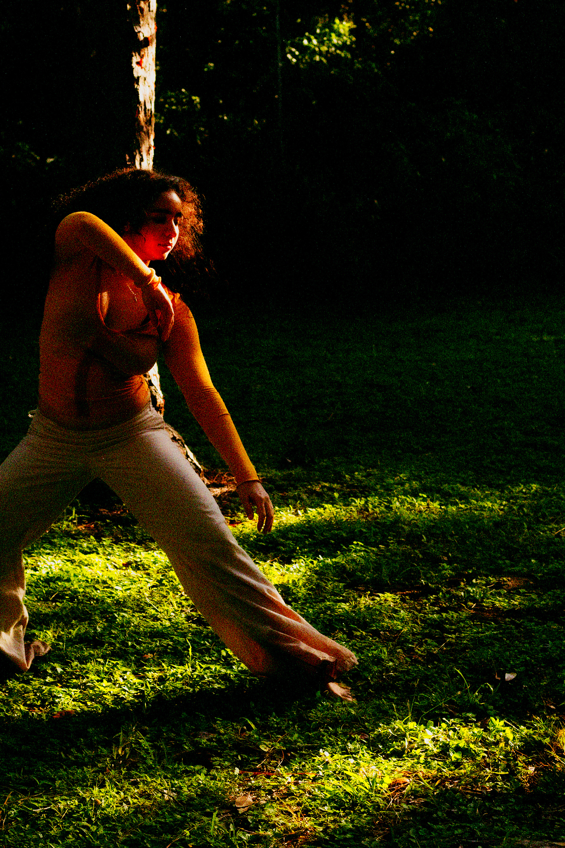 Introspection_4