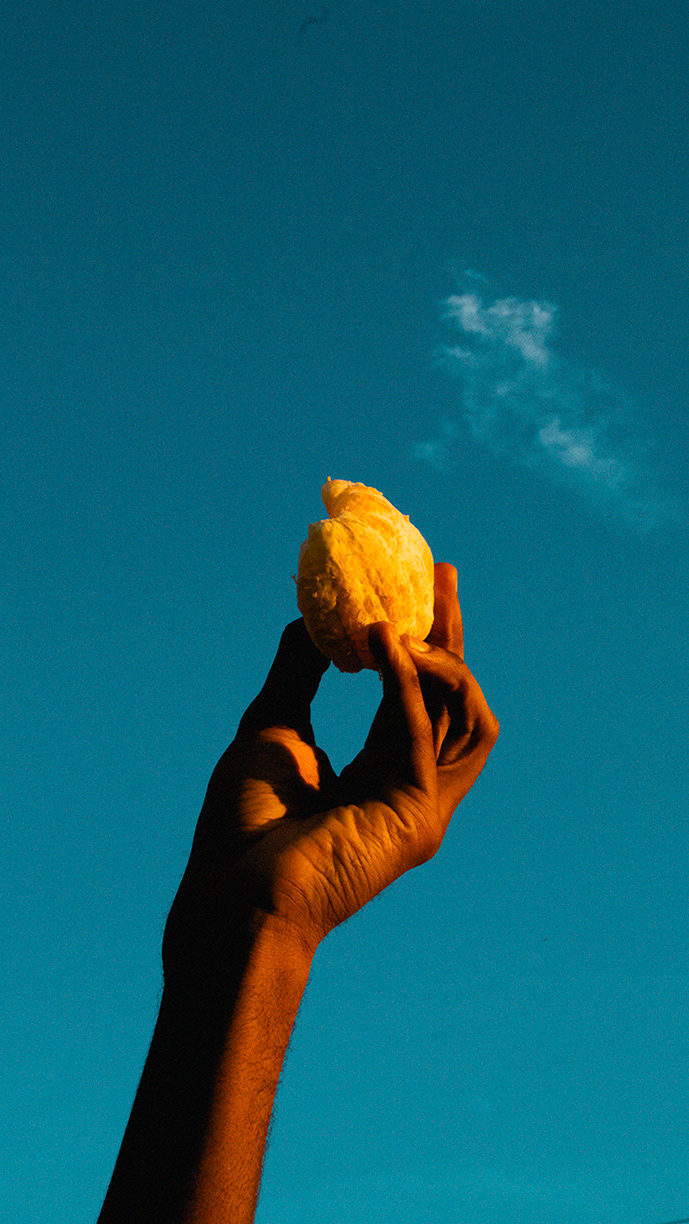 Citrus_03