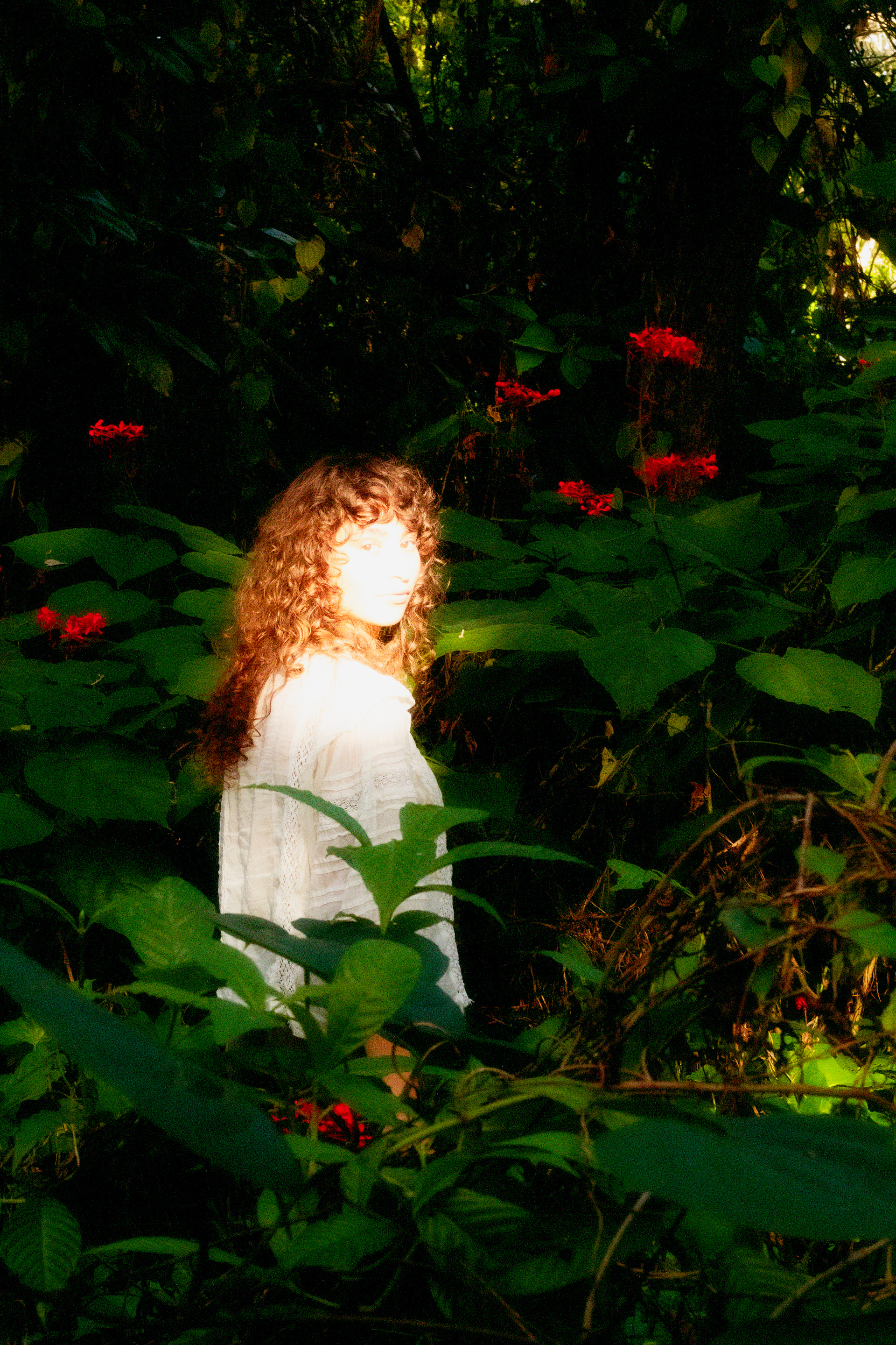 Borrow_4