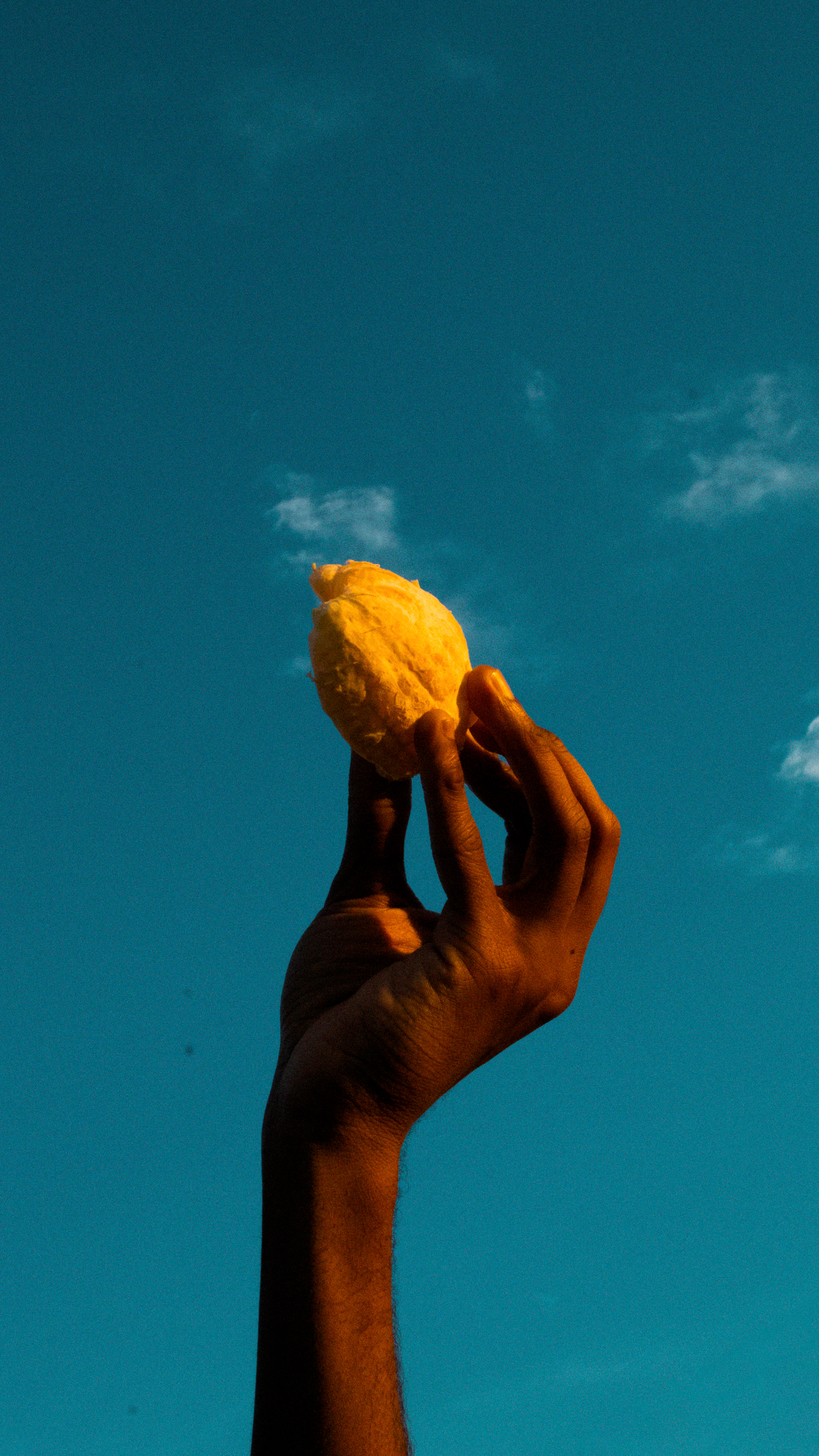 Citrus_01