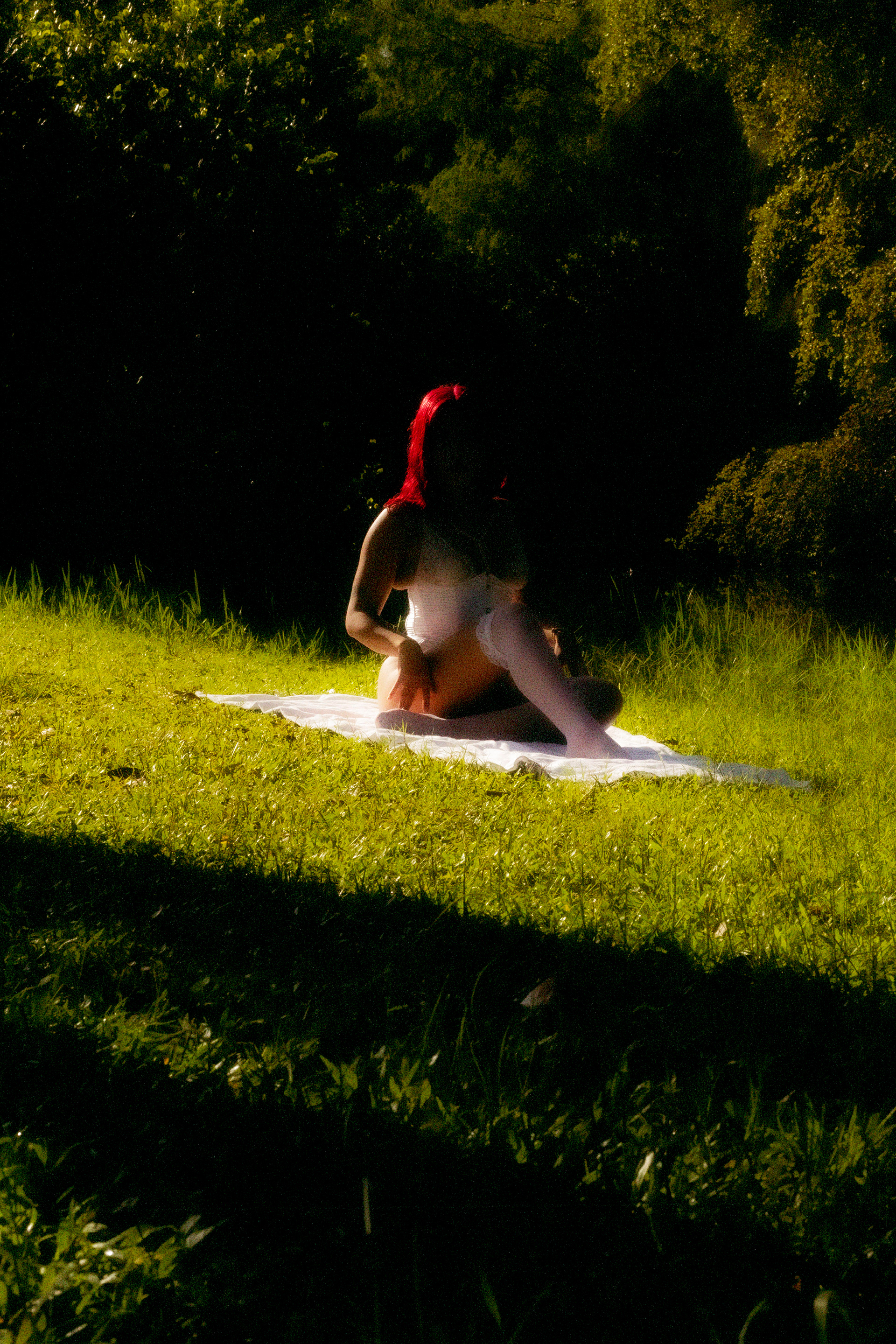 deep on the forest