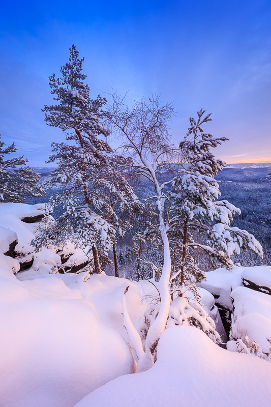 Winter landscape in the saxon switzerland
