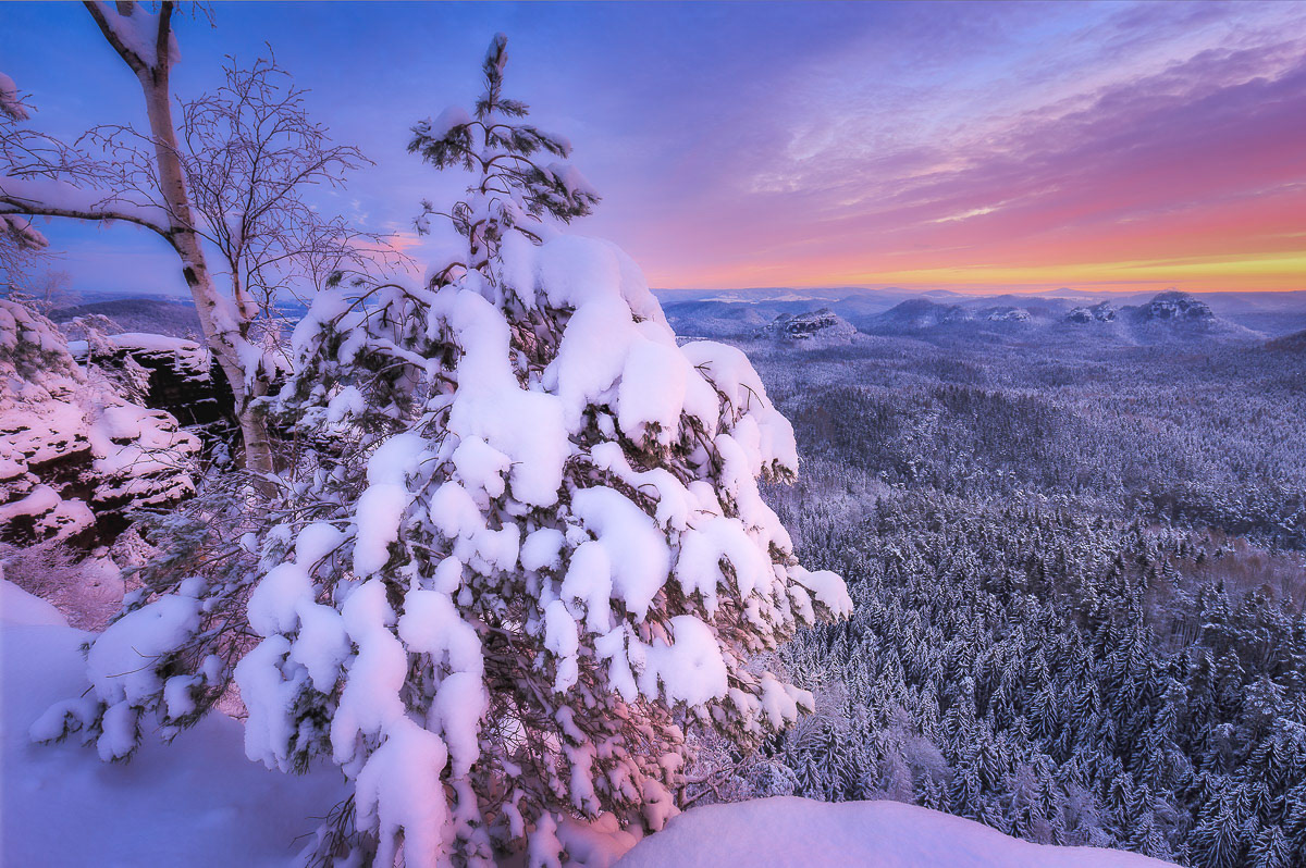 Winter landscape in the saxon switzerland