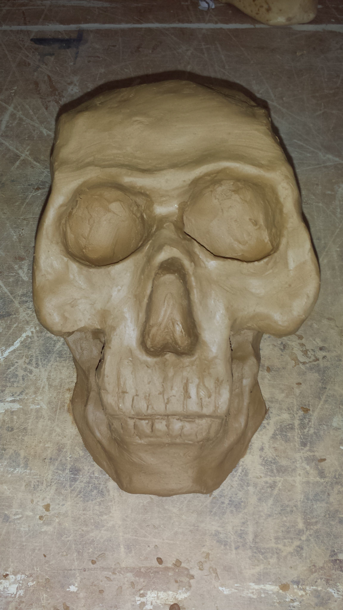Sculpture; Scull before firing