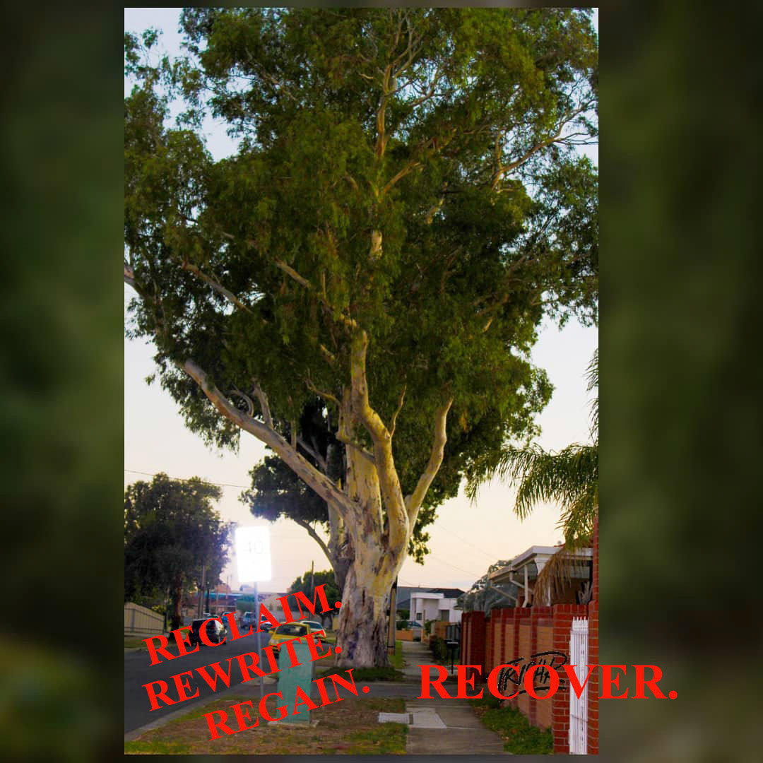 Reclaim, Regain, Re-Use