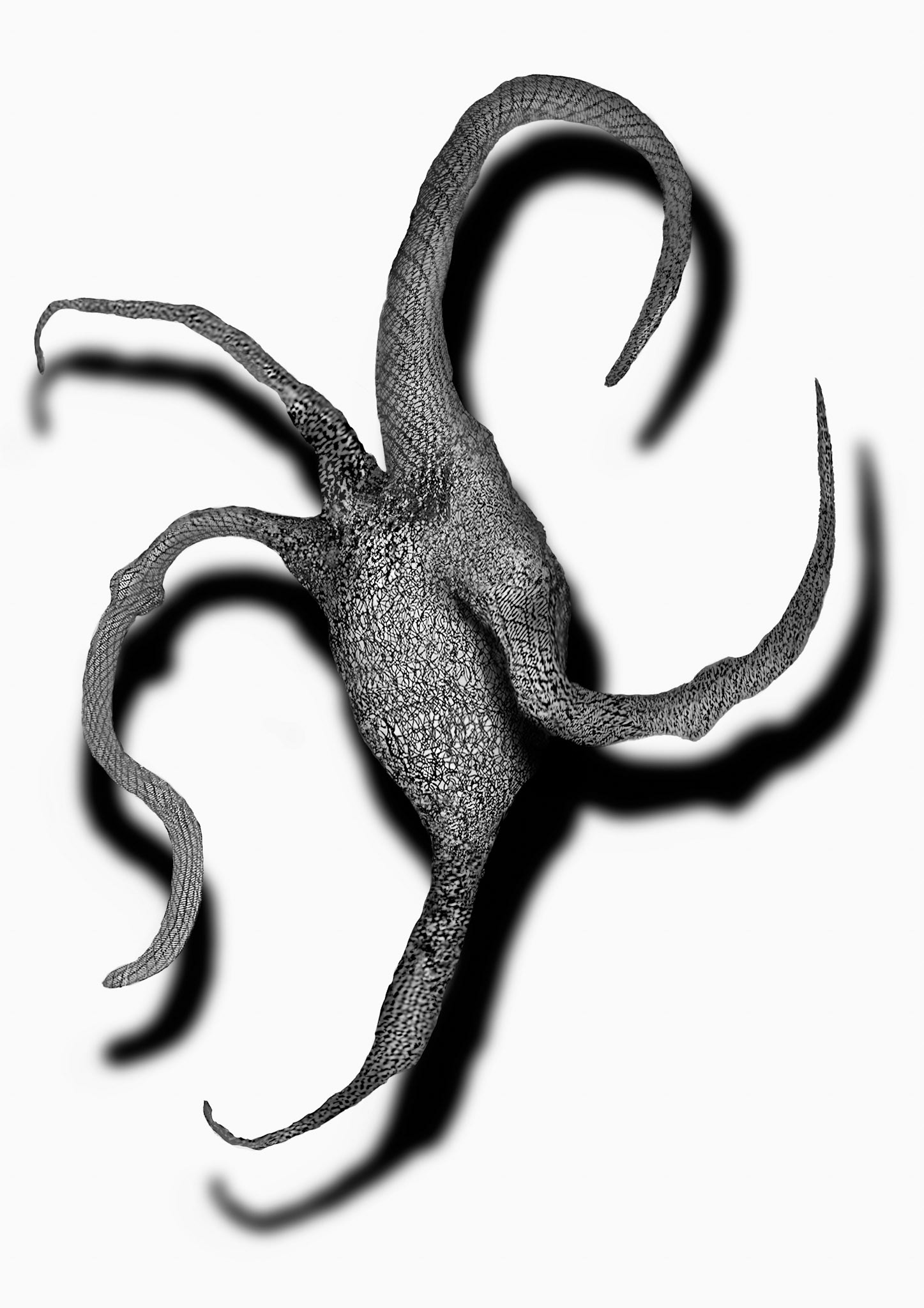 Pechu Kultcha & Hill Smith Exhibition;  Memories - Neurons