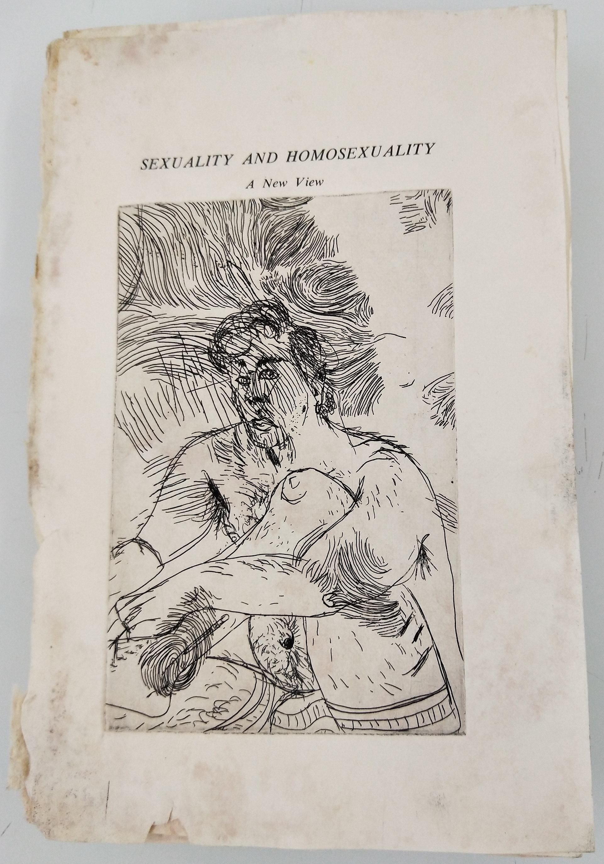 Sexuality and Homosexuality: A New View, 2018 (Detail Title Page)
