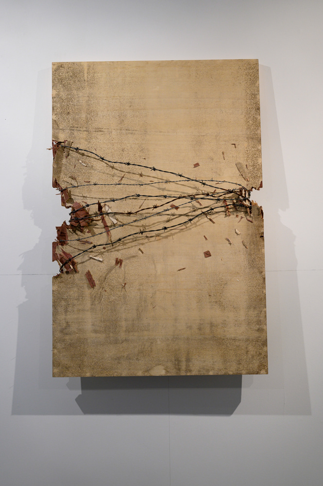 Opposite Matters 1, 2019 (Ply wood, barbed wire and mould)