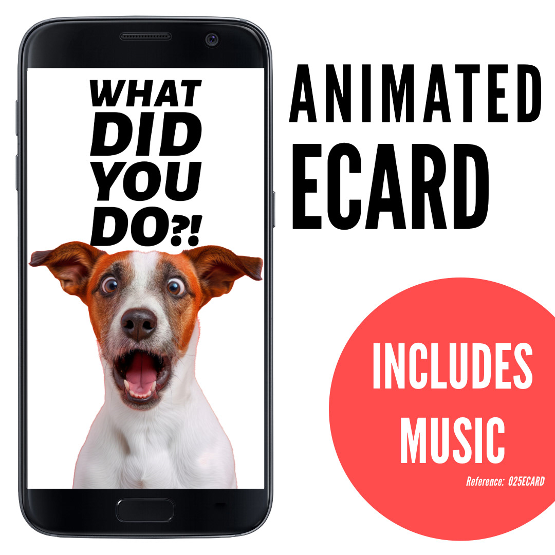 image of phone displaying shocked Jack Russell dog with mouth open, silly funny ecard What did you do, animated ecard with music, ref: 025ECARD