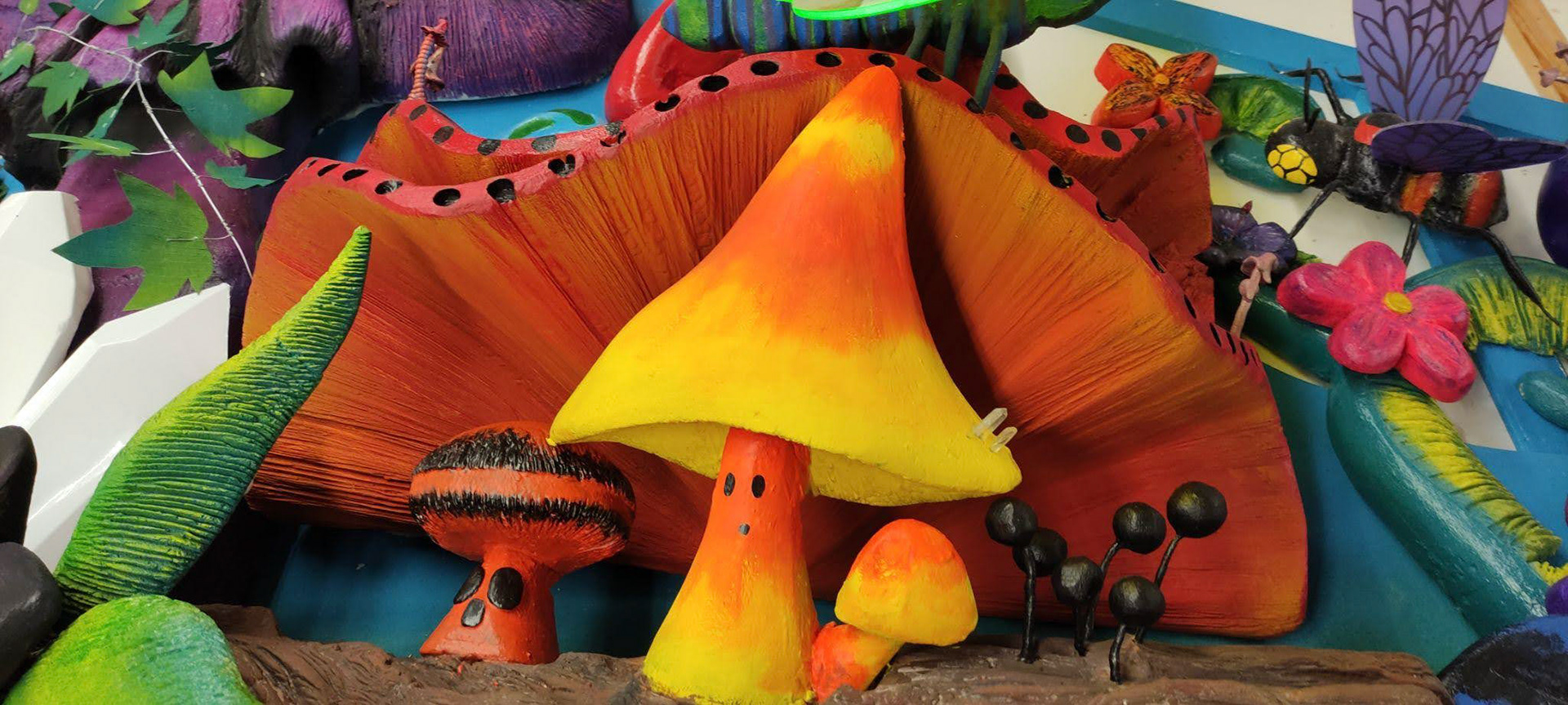 Photos By Harrison Ryan