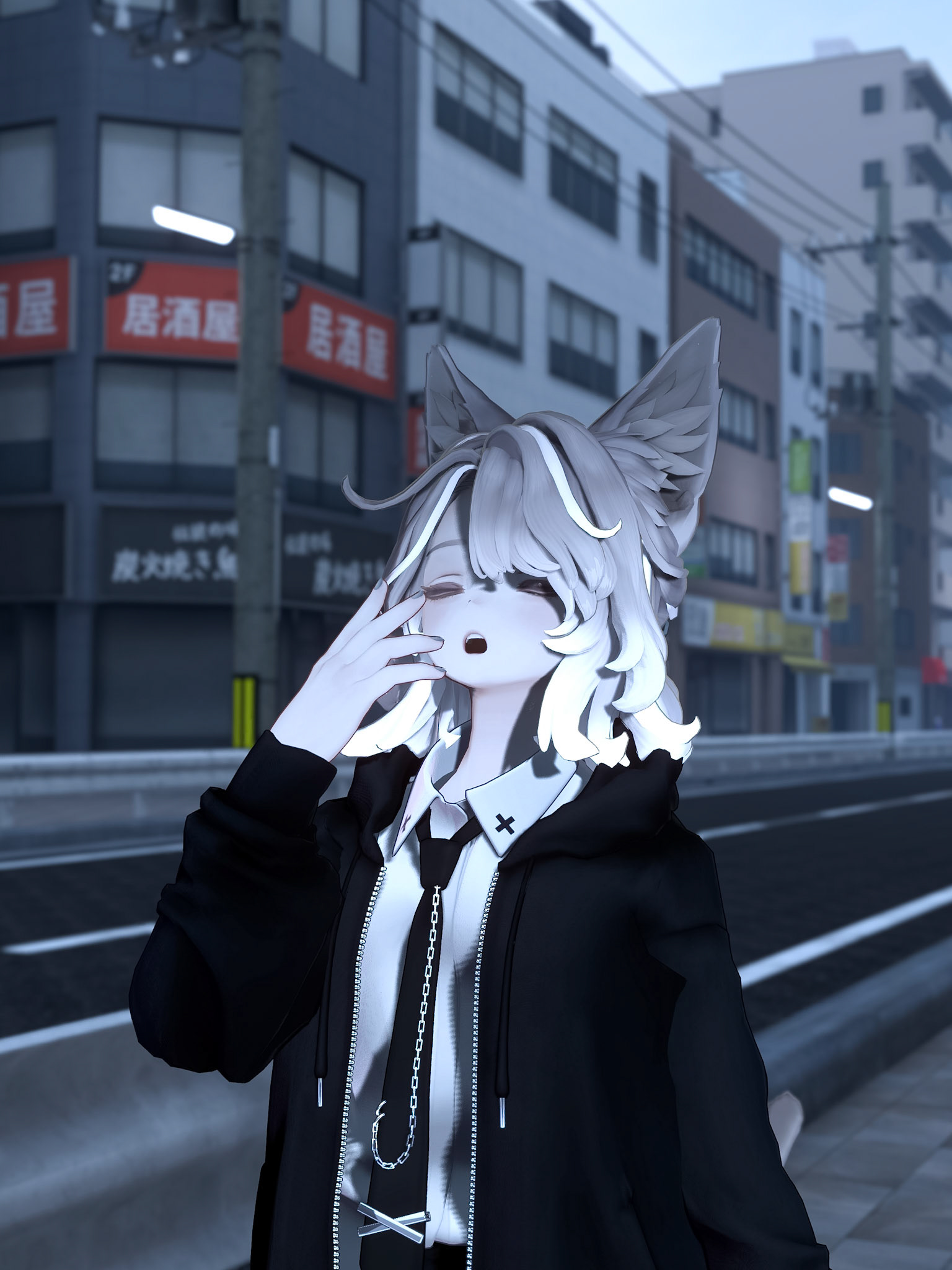 Taken at 起き始めた街で ［Morning‚ on the footbridge］