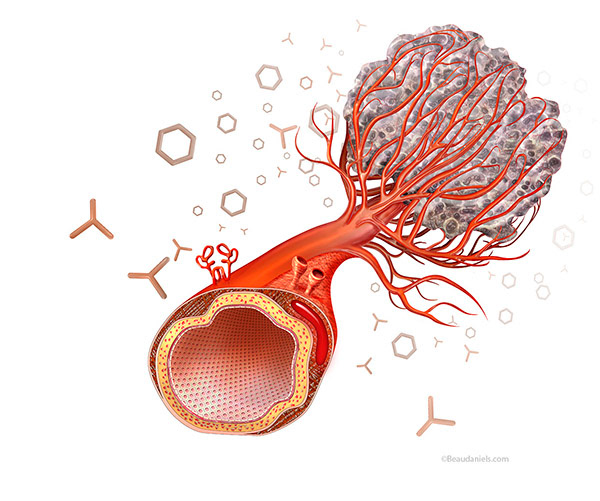 Cutaway dog, cutaway cat, effect of gravity on the human body, Essure process, Smooth shapes, Hobbit helper, MOA, Biopsies, etc.
