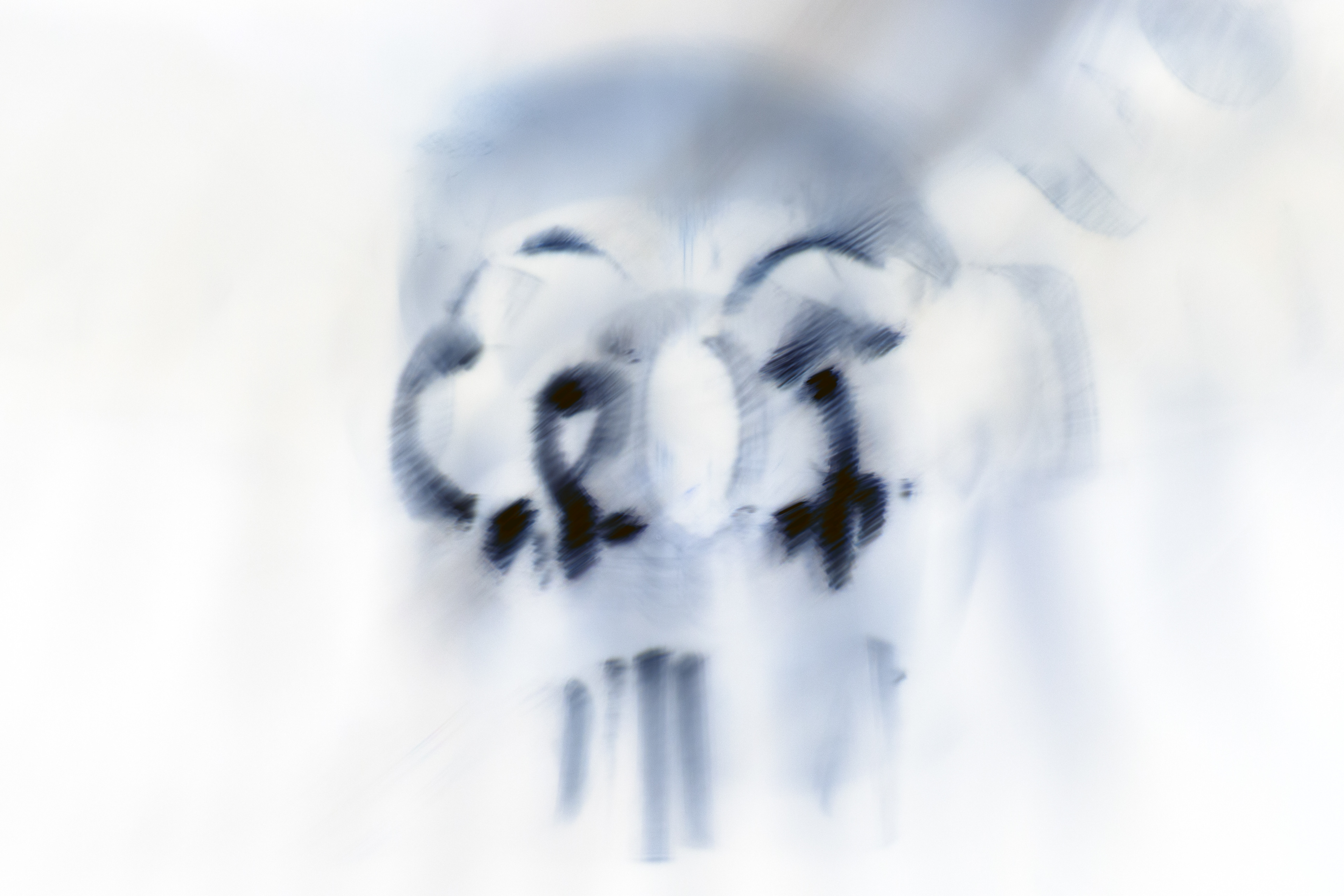 Radiography