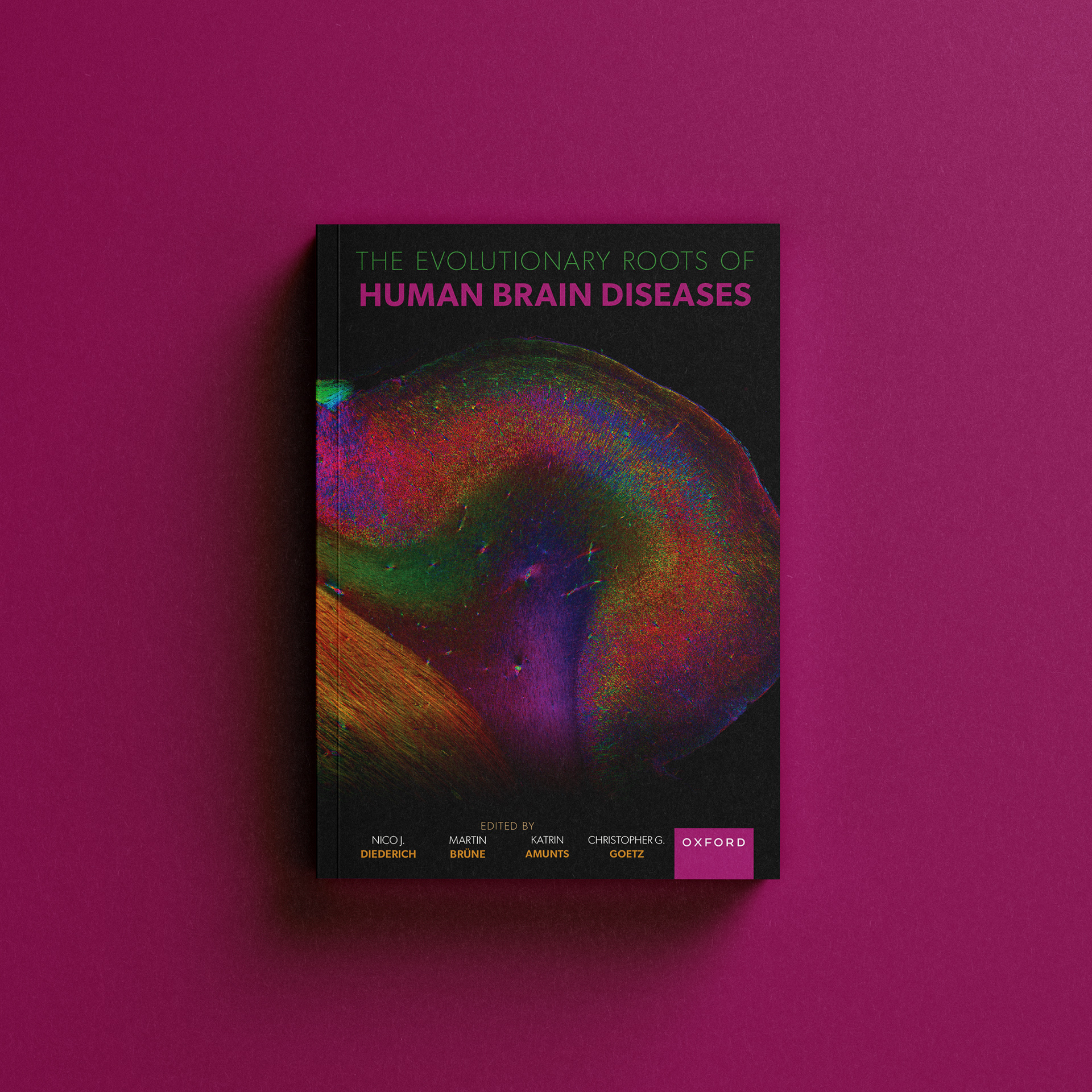The Evolutionary Rotts of Human Brain Diseases by Nico J. Diederich et. el.