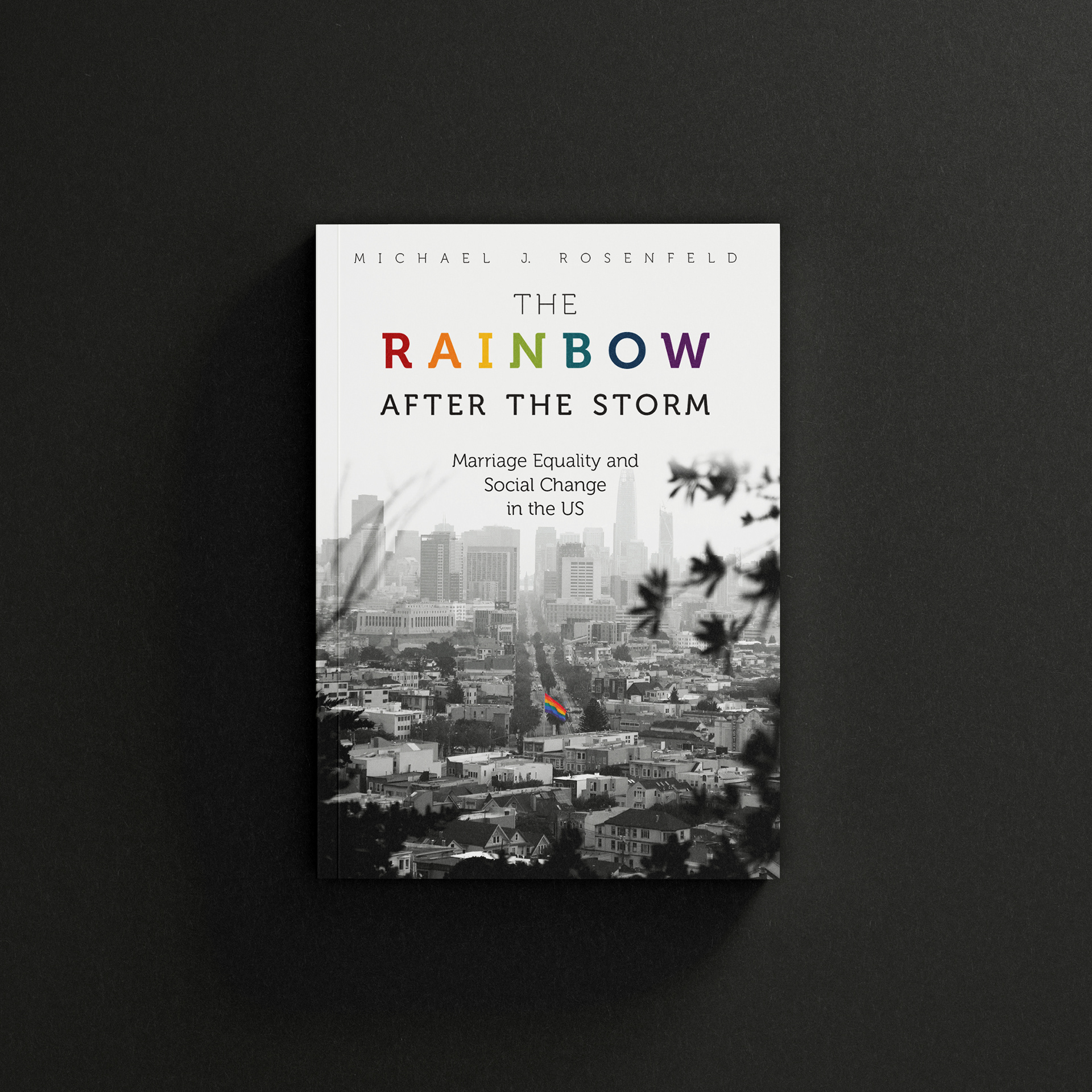 The Rainbow After the Storm by Michael J. Rosenfeld