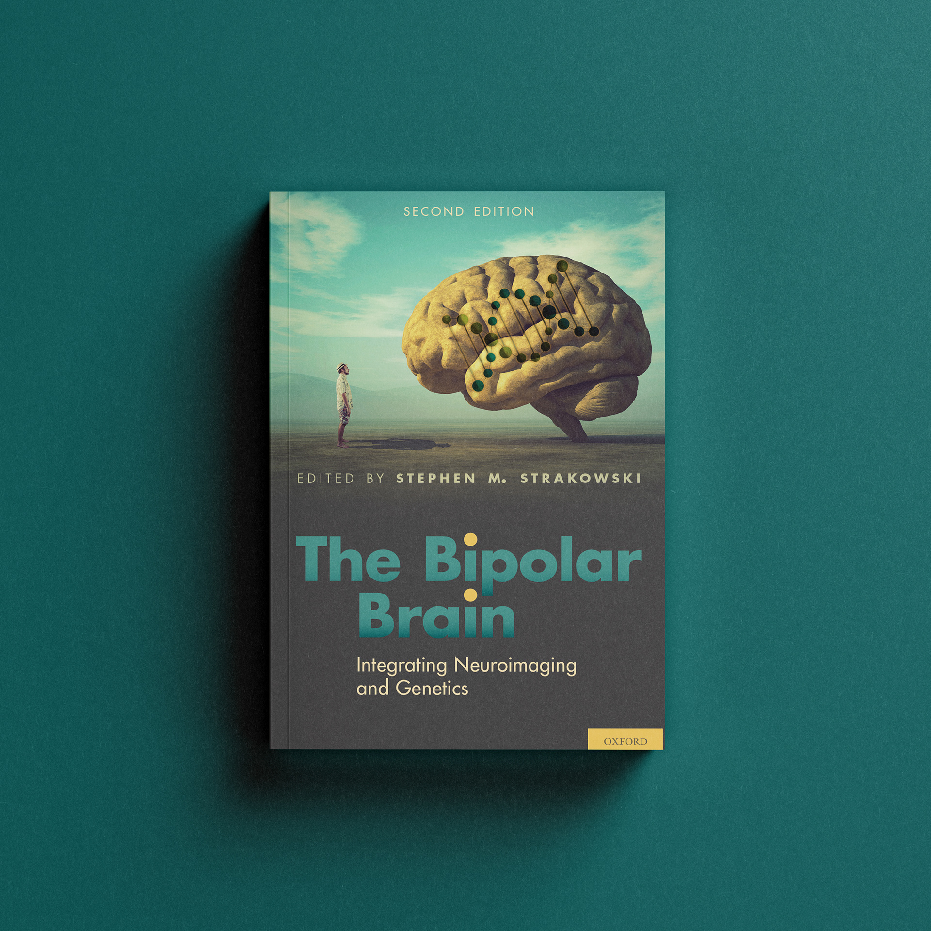 The Bipolar Brain by Stephen M. Strakowski