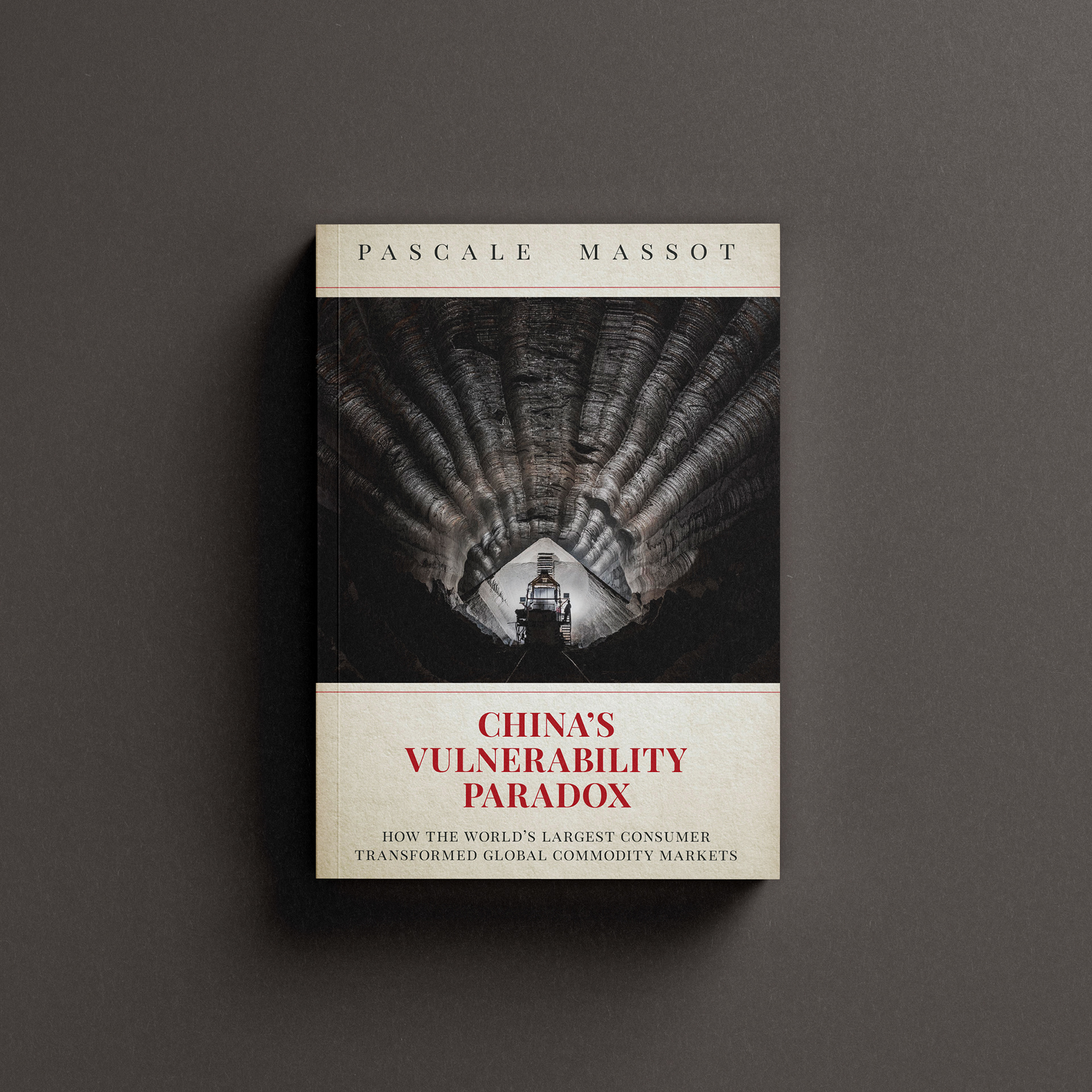 China's Vuknerability Paradox by Pascale Massot