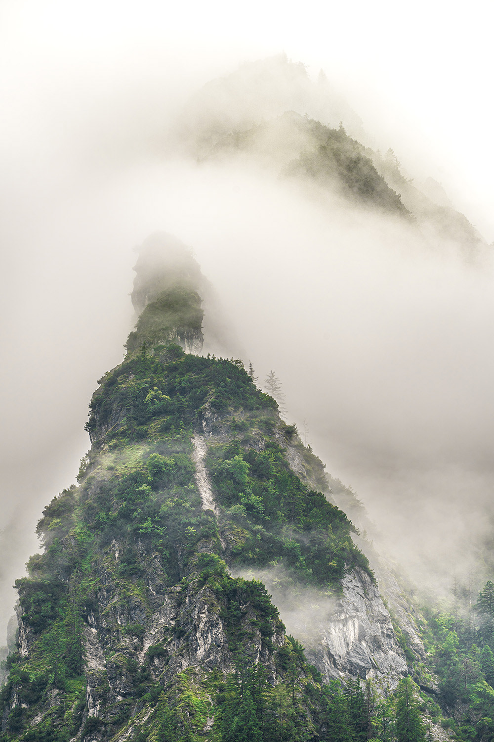 Bilder können in Vollfarbe, einem bestimmten Farbstil oder in Schwarz-Weiß geliefert werden.