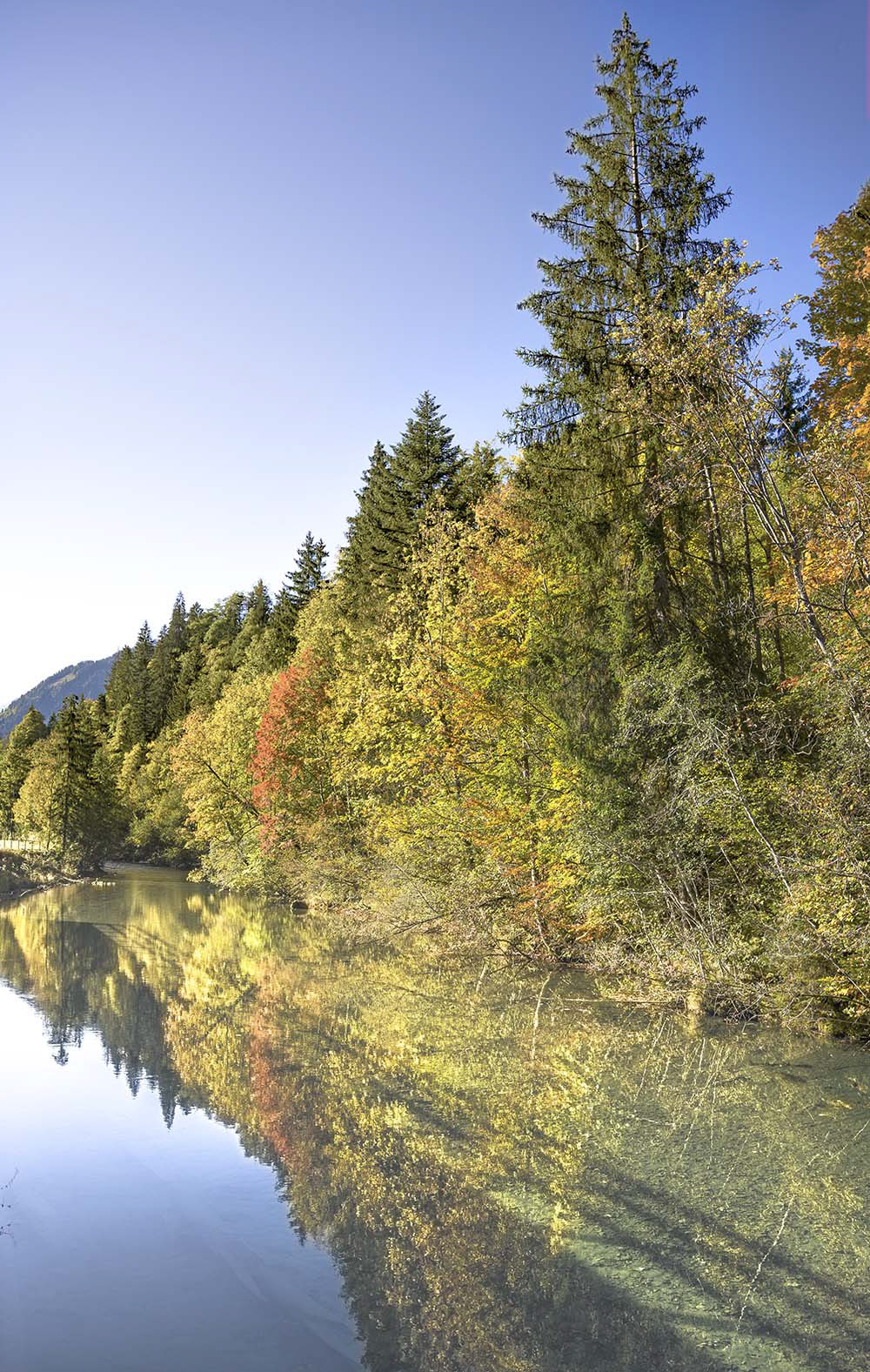 Bilder können in Vollfarbe, einem bestimmten Farbstil oder in Schwarz-Weiß geliefert werden.