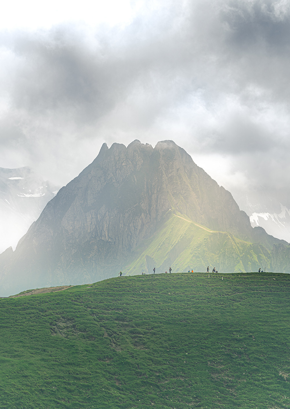 Bilder können in Vollfarbe, einem bestimmten Farbstil oder in Schwarz-Weiß geliefert werden.