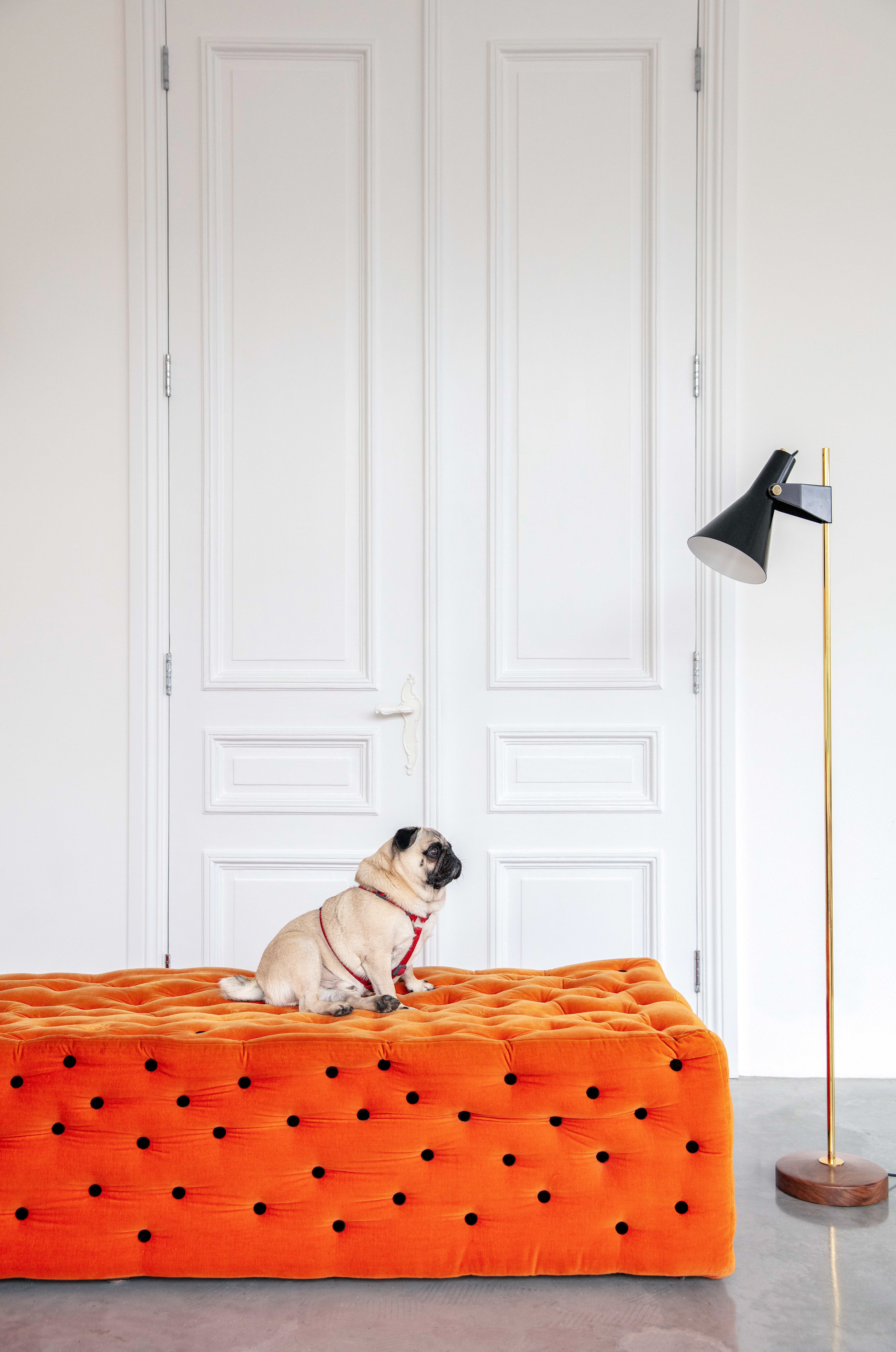 French Lighting Company