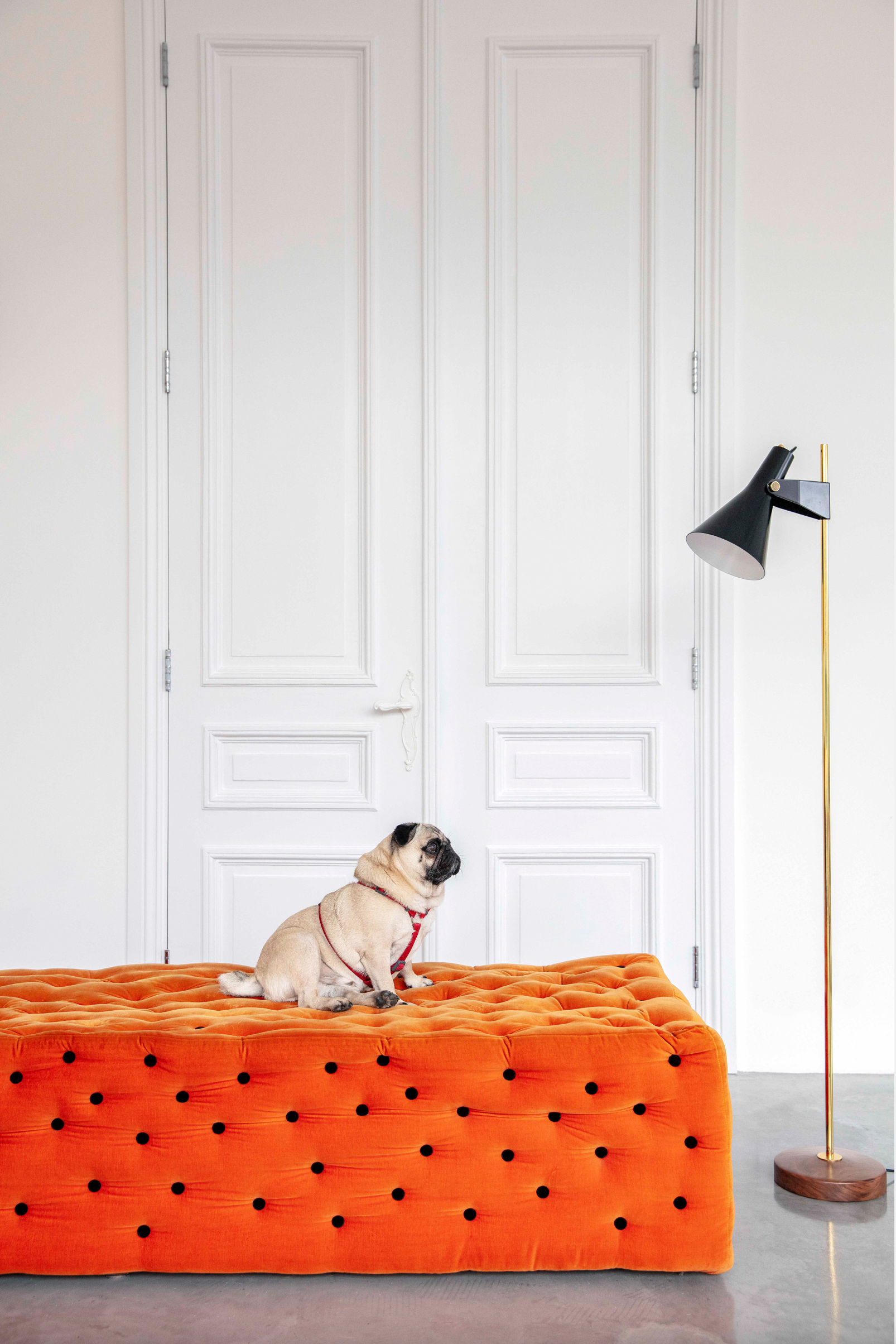 French Lighting Company