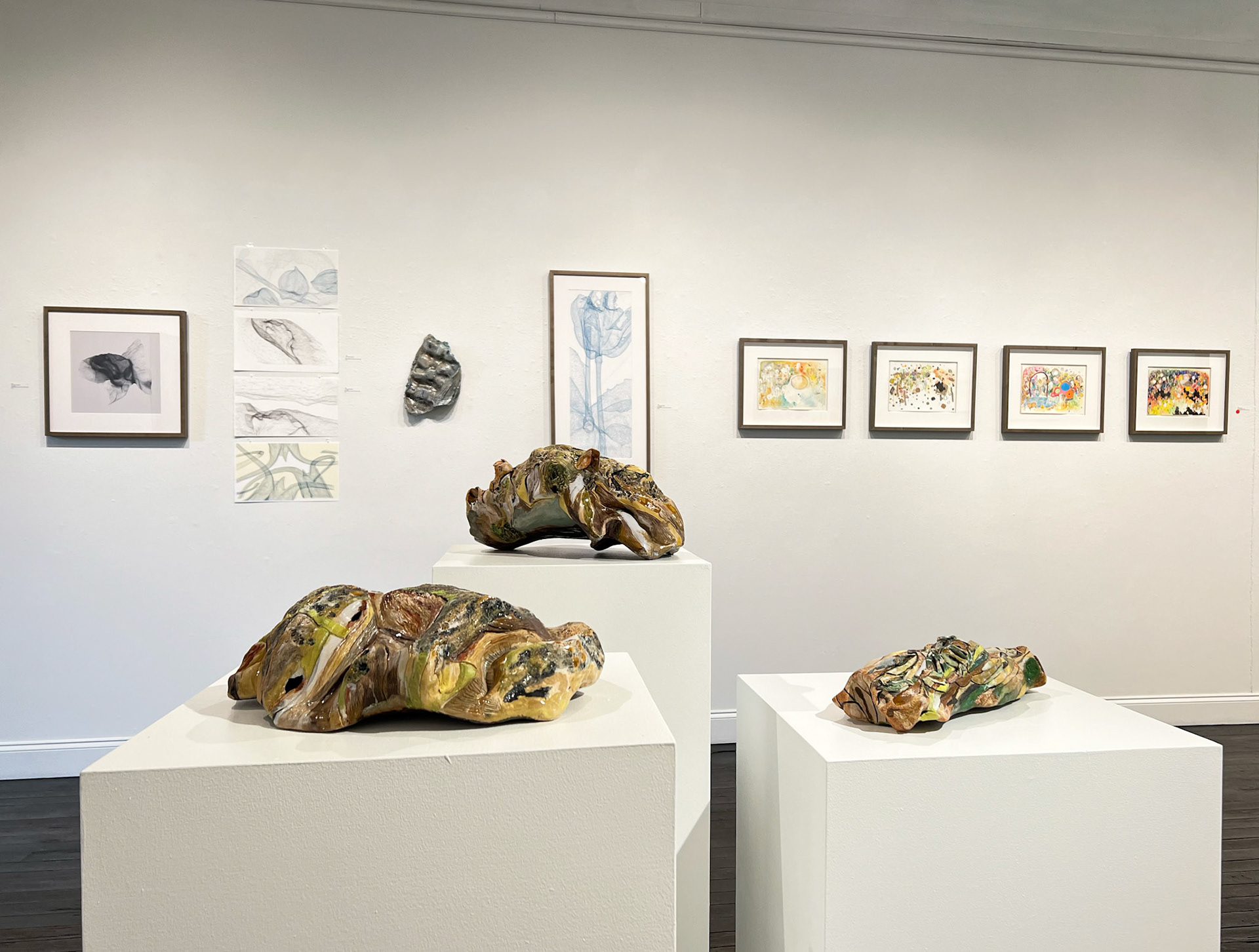 Mary Barensfeld, Stephanie Martin, Cara Fialho