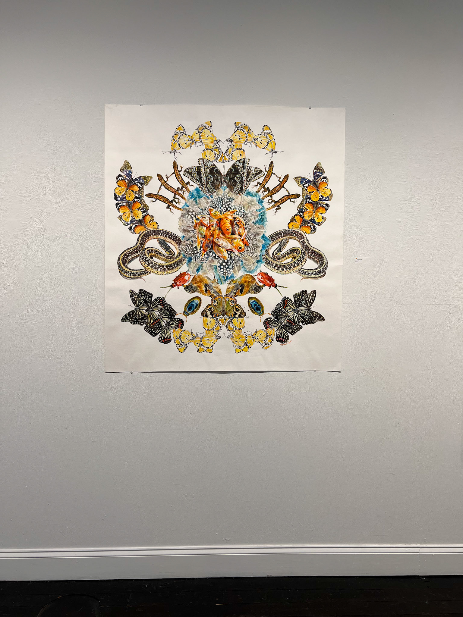 Gold Fish Brocade