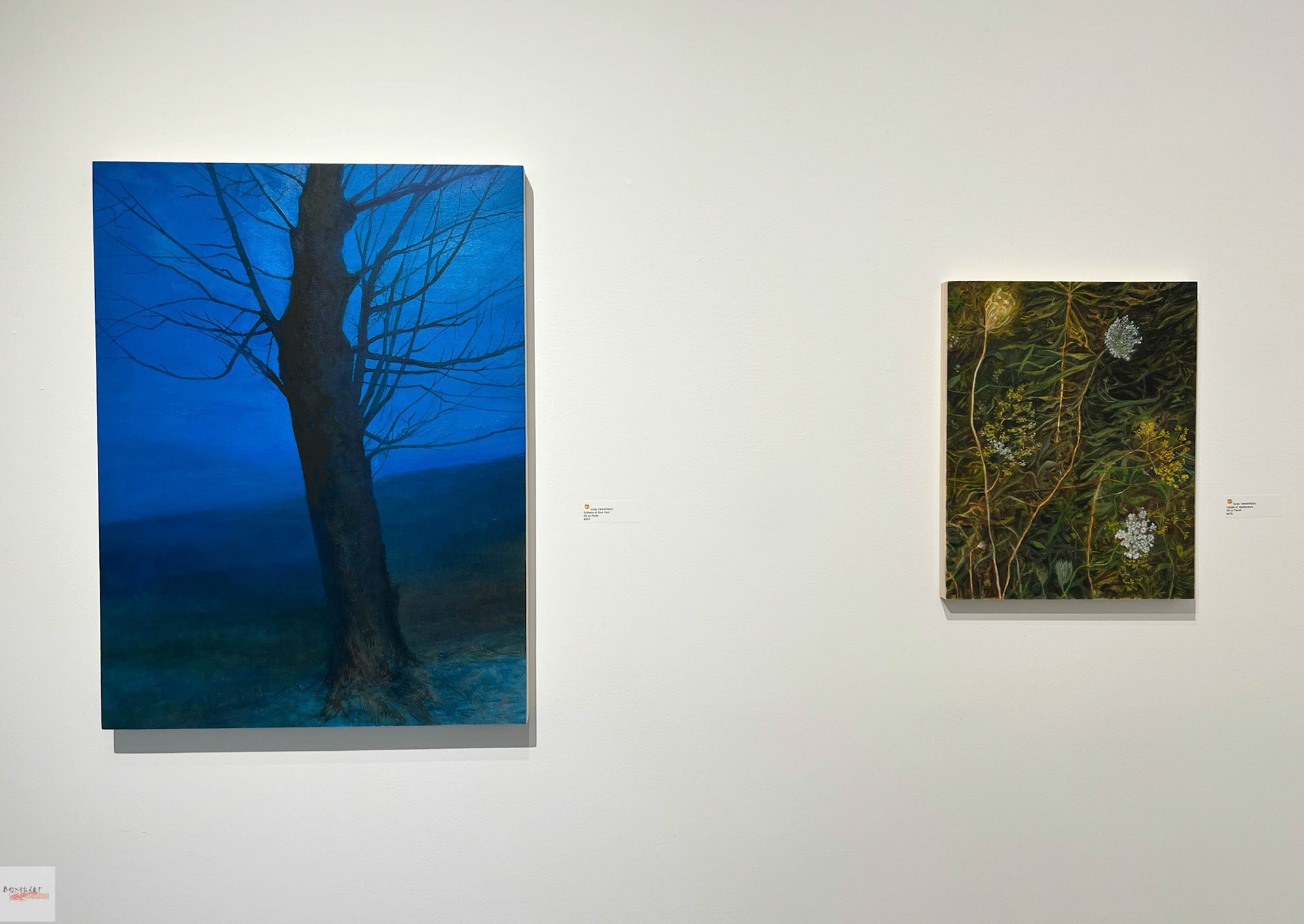 Installation view of Stillness: Sonja Sweterlitsch and Lynne Feinberg, BoxHeart Gallery, 2026.