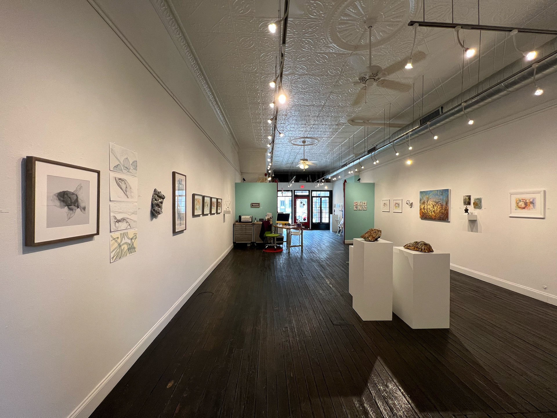 Clara Fialho, Stephanie Martin, Joshua Hogan, Belgin Yucelen, Mary Barensfeld