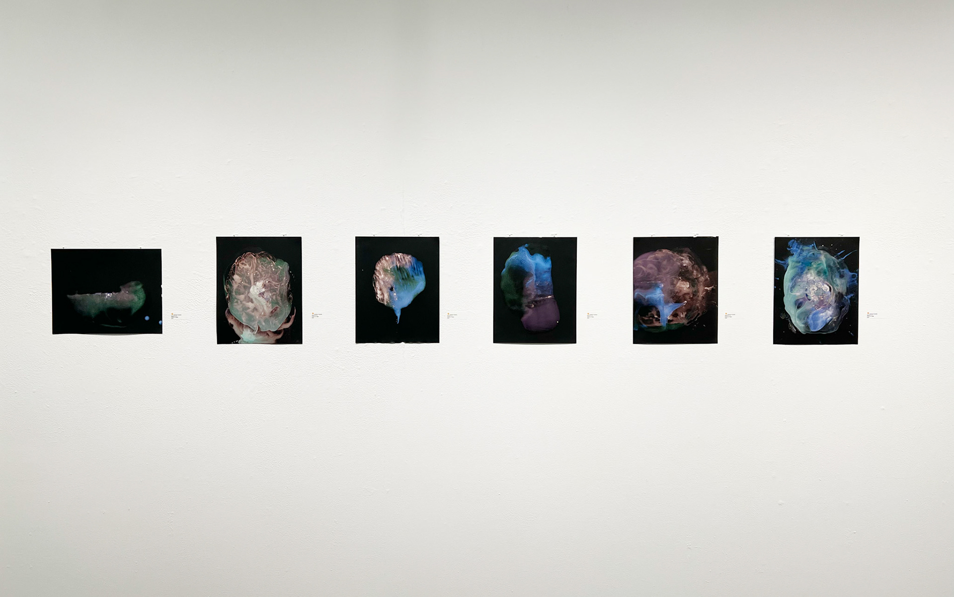 Stephanie Gonzalez: Nebulas