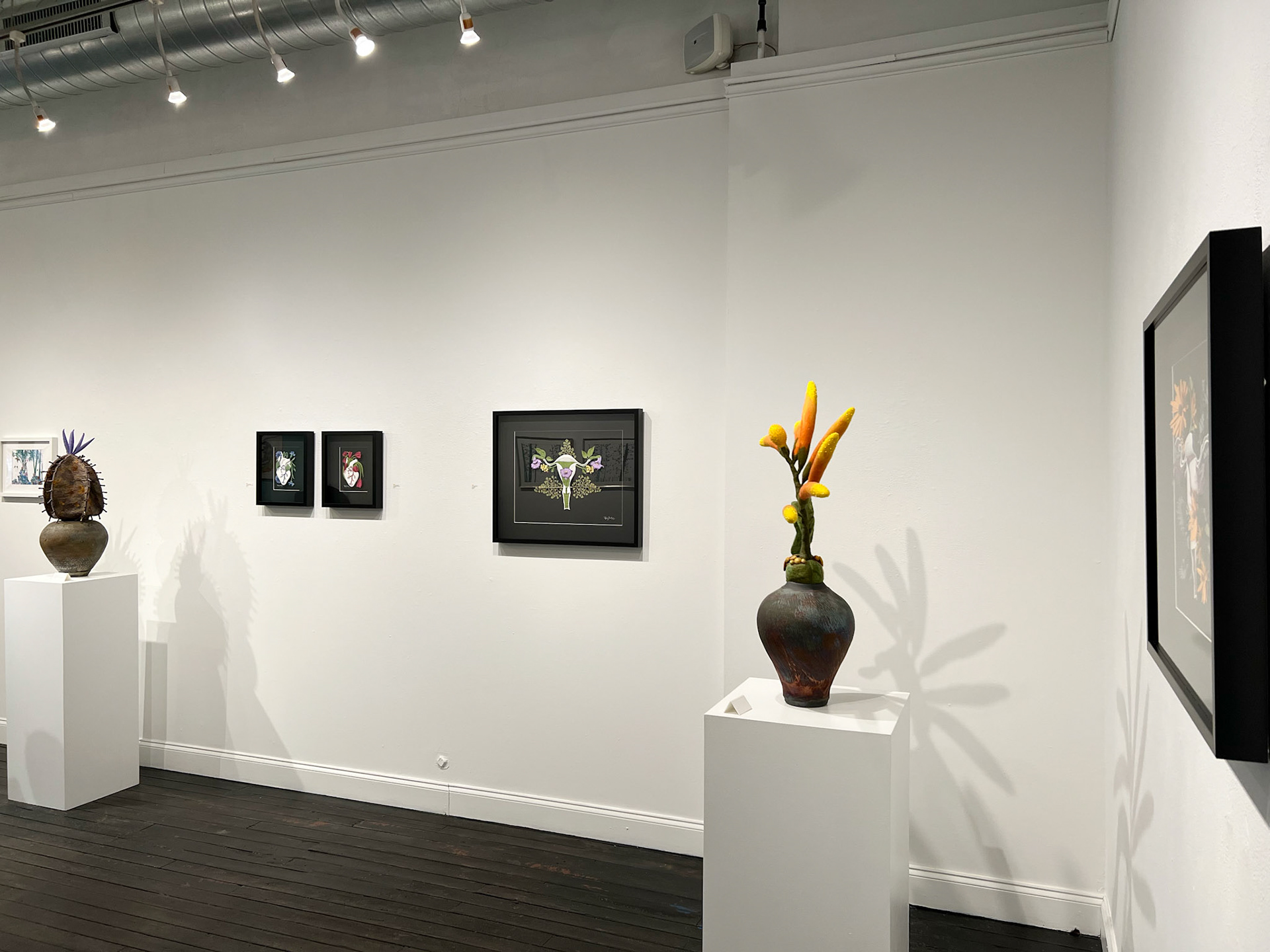 Tiffany Budzisz, Ellen Silberlicht