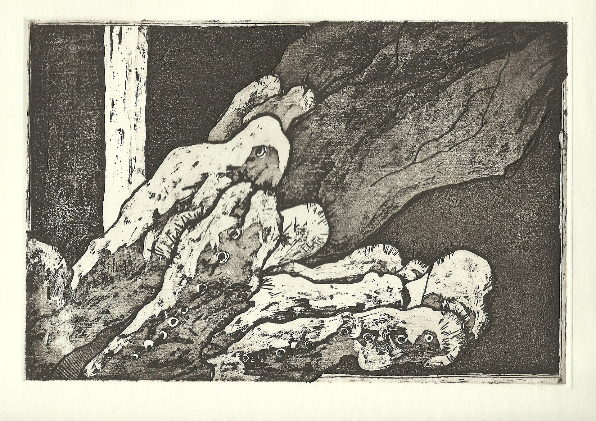 "Nocturno con cactus" Etching 15x22cm