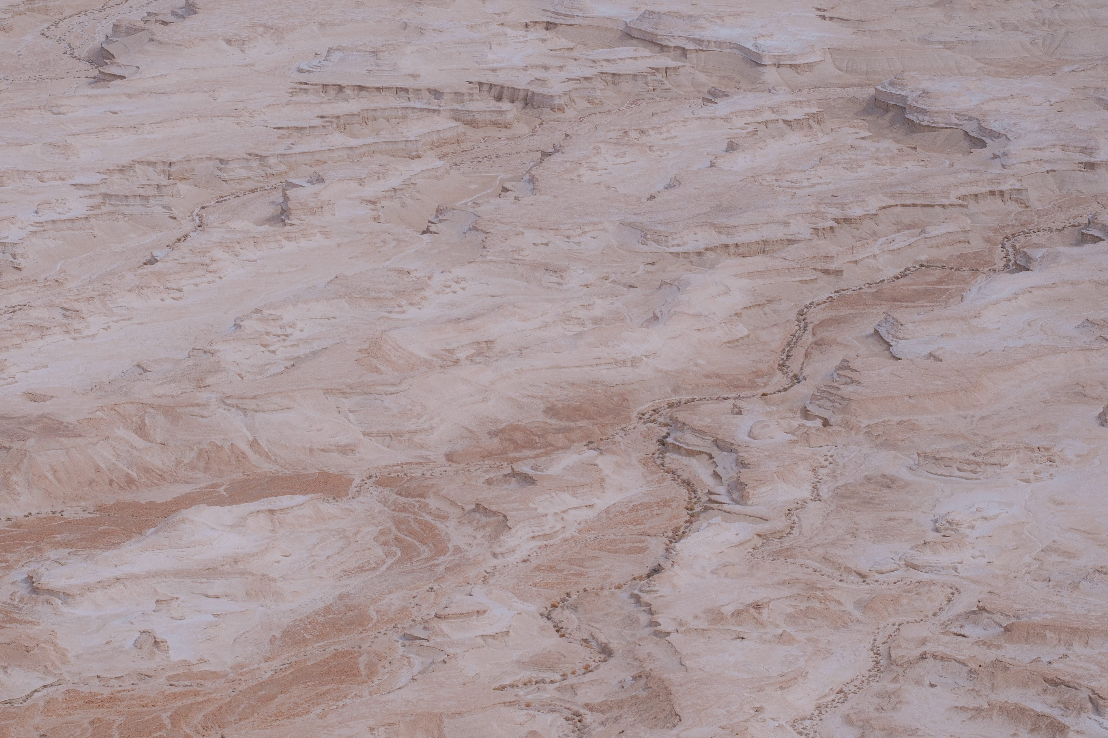 Israel and occupied Palestinian Territory