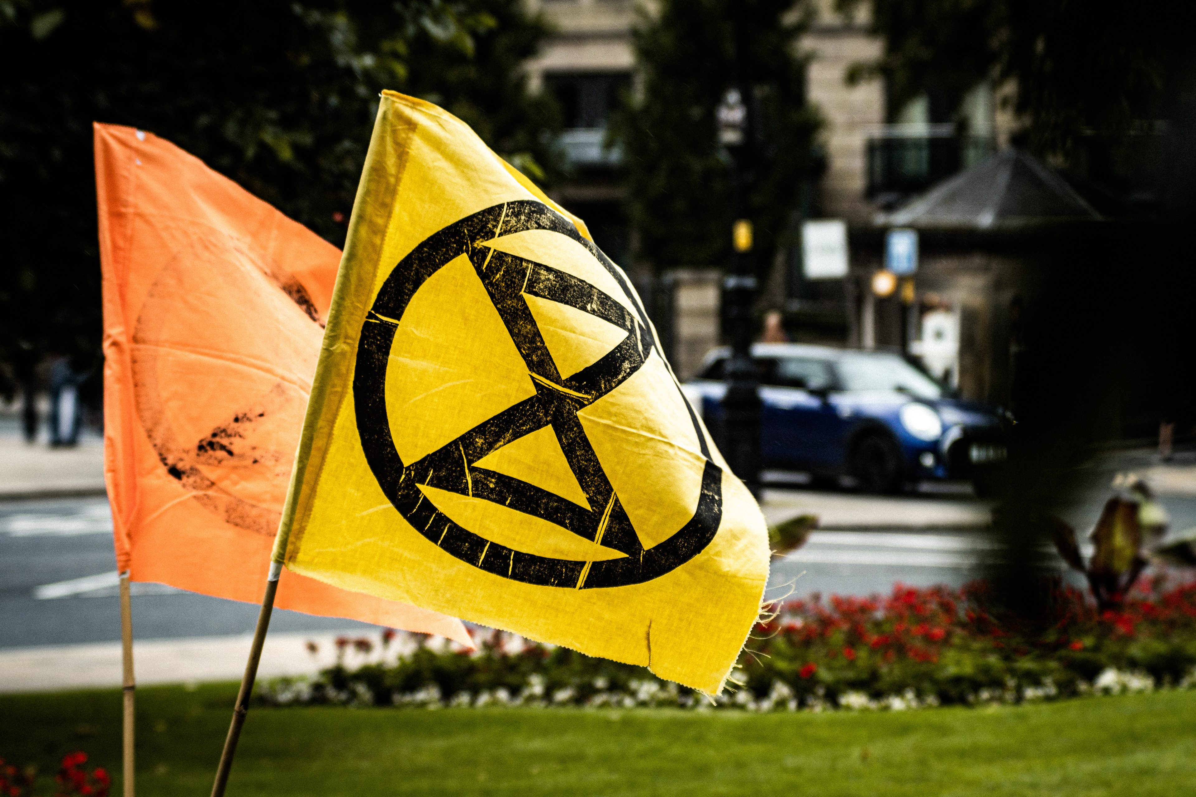 Extinction Rebellion Harrogate, 2020