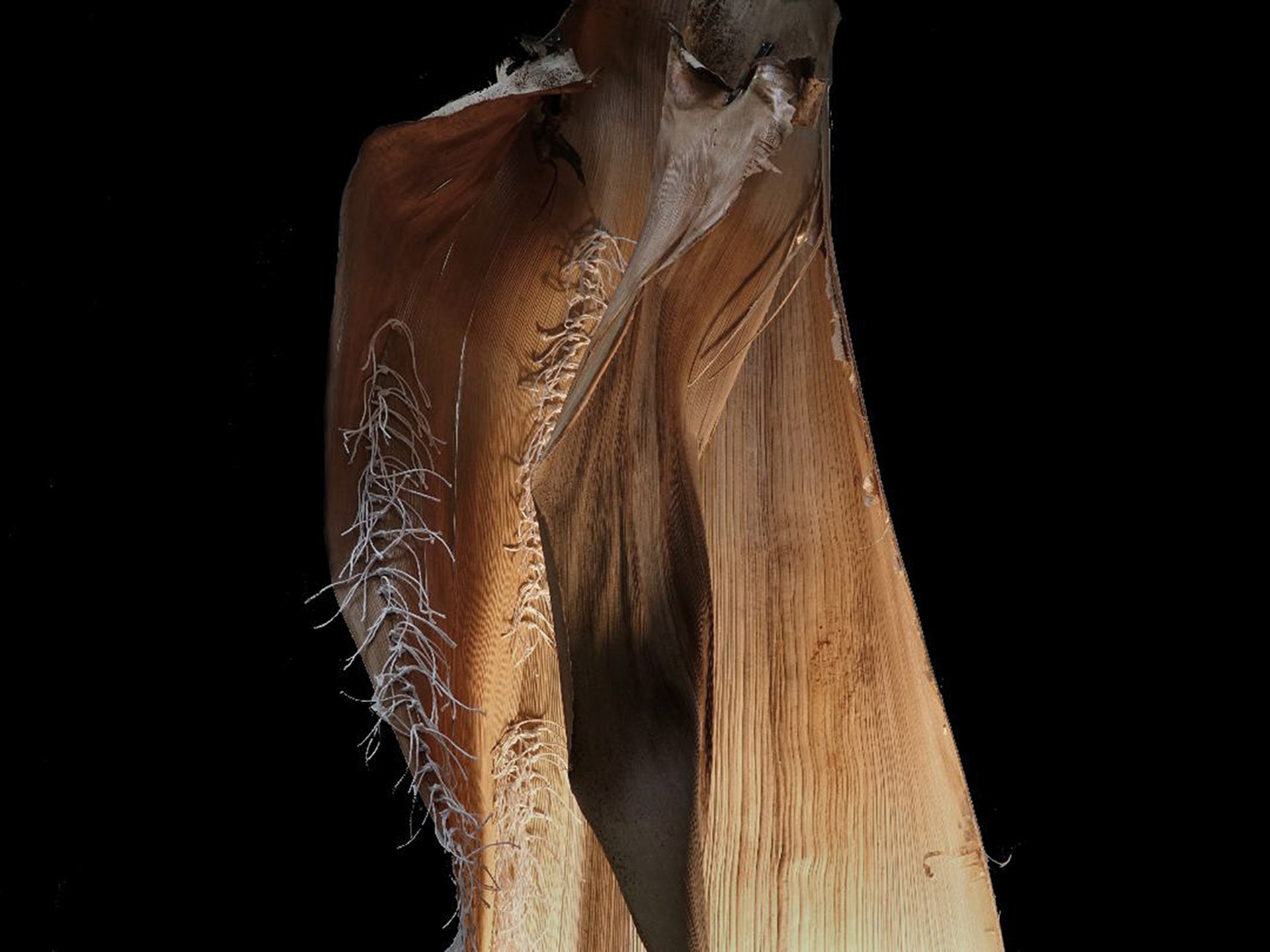An intimate pattern of action: weaving this sable palm husk triggered a powerful identification and projection of entire body and mind. Like skin, it became forgiving, repetitive stitching became healing, reminding like step after step to keep going to clarify and make whole my self and my country.
