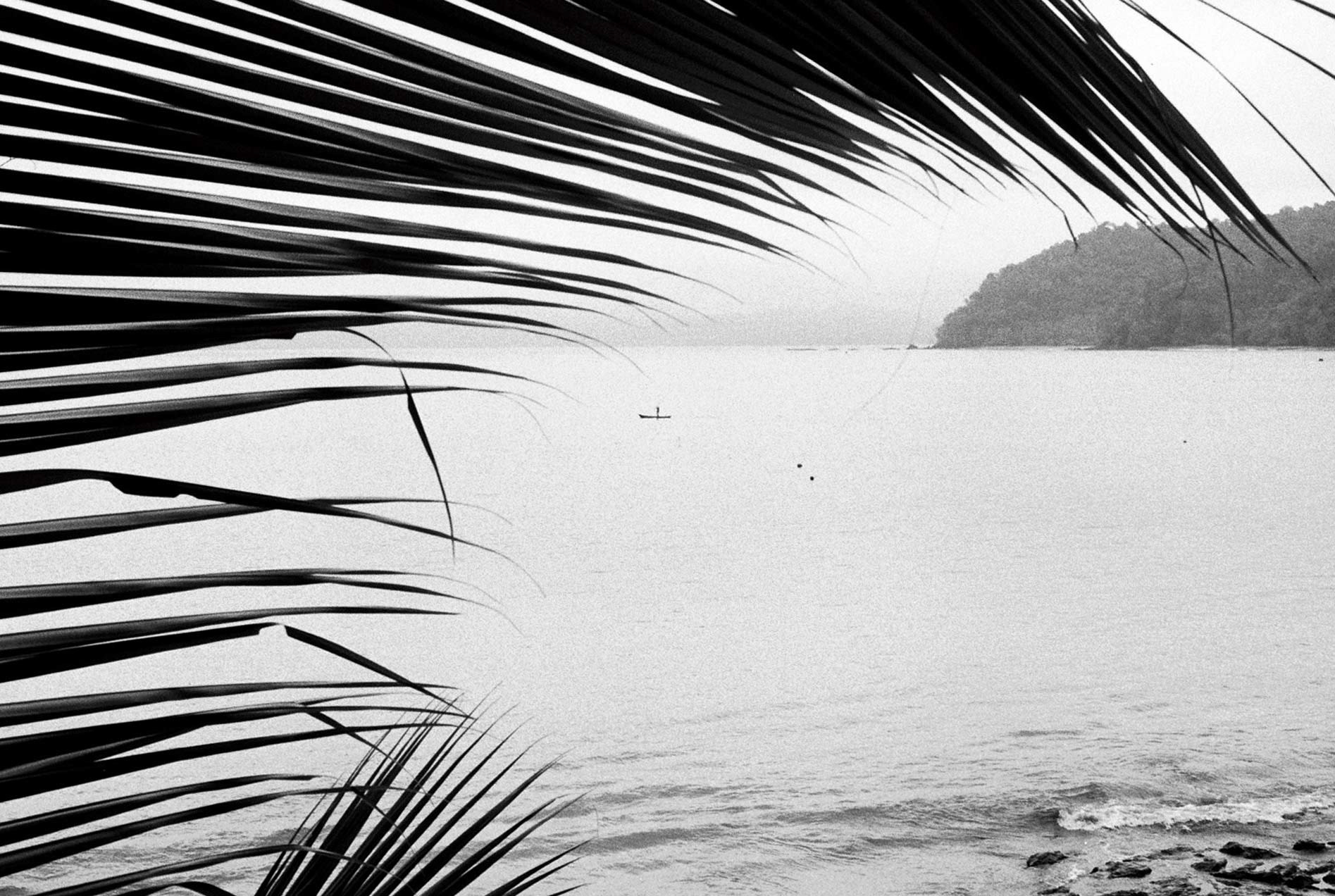 El pescador