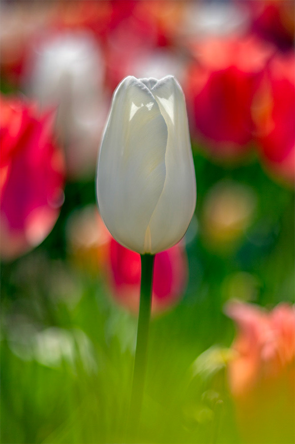 Ryan Barrett Photography