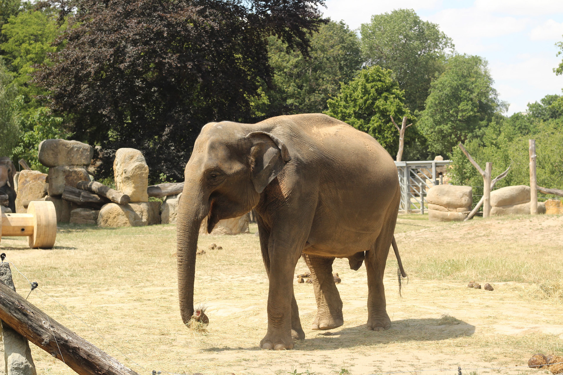 Prague Zoo, Czech Republic