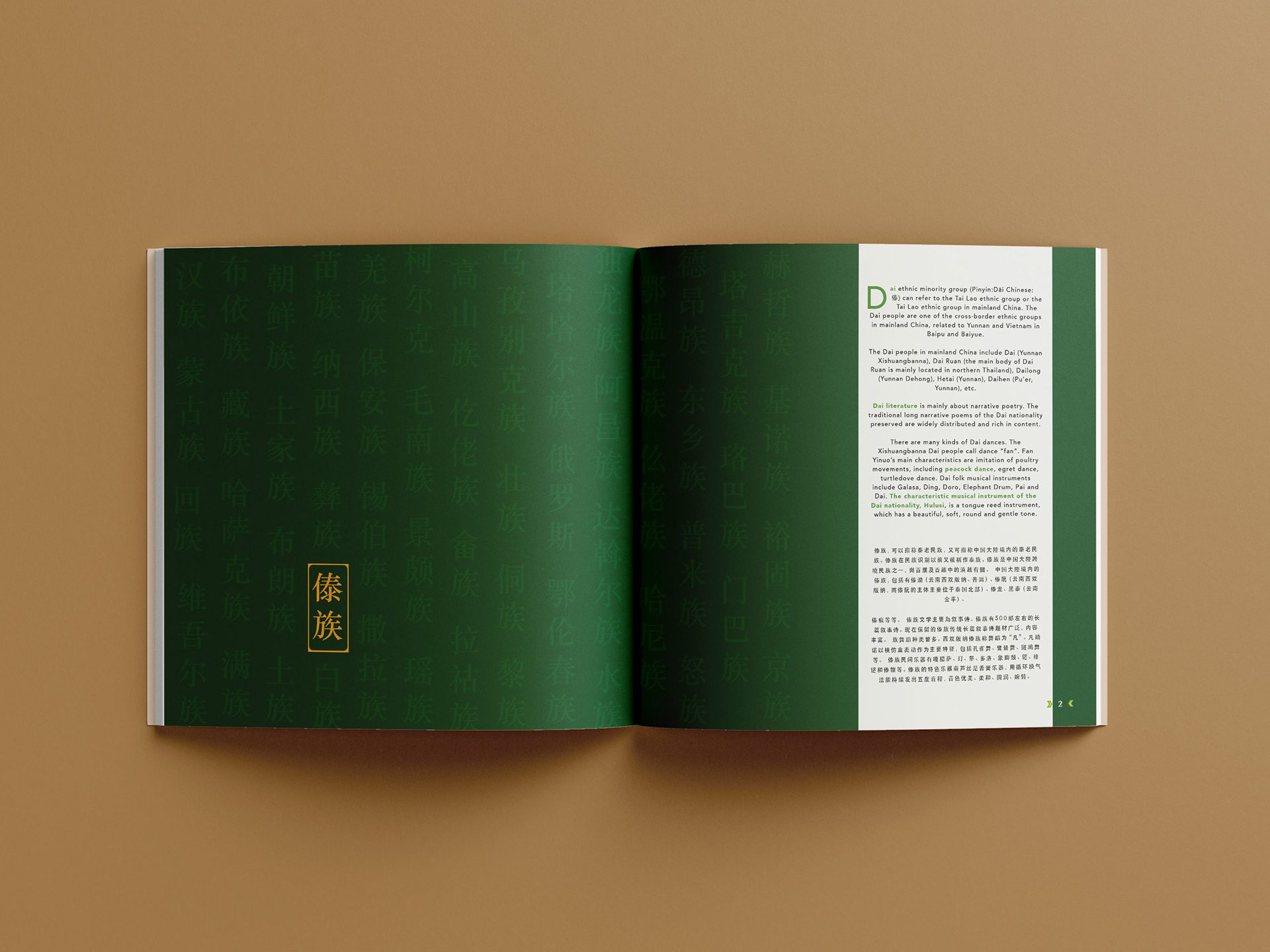 Dai Ethnic Group's Introduction Spread Design