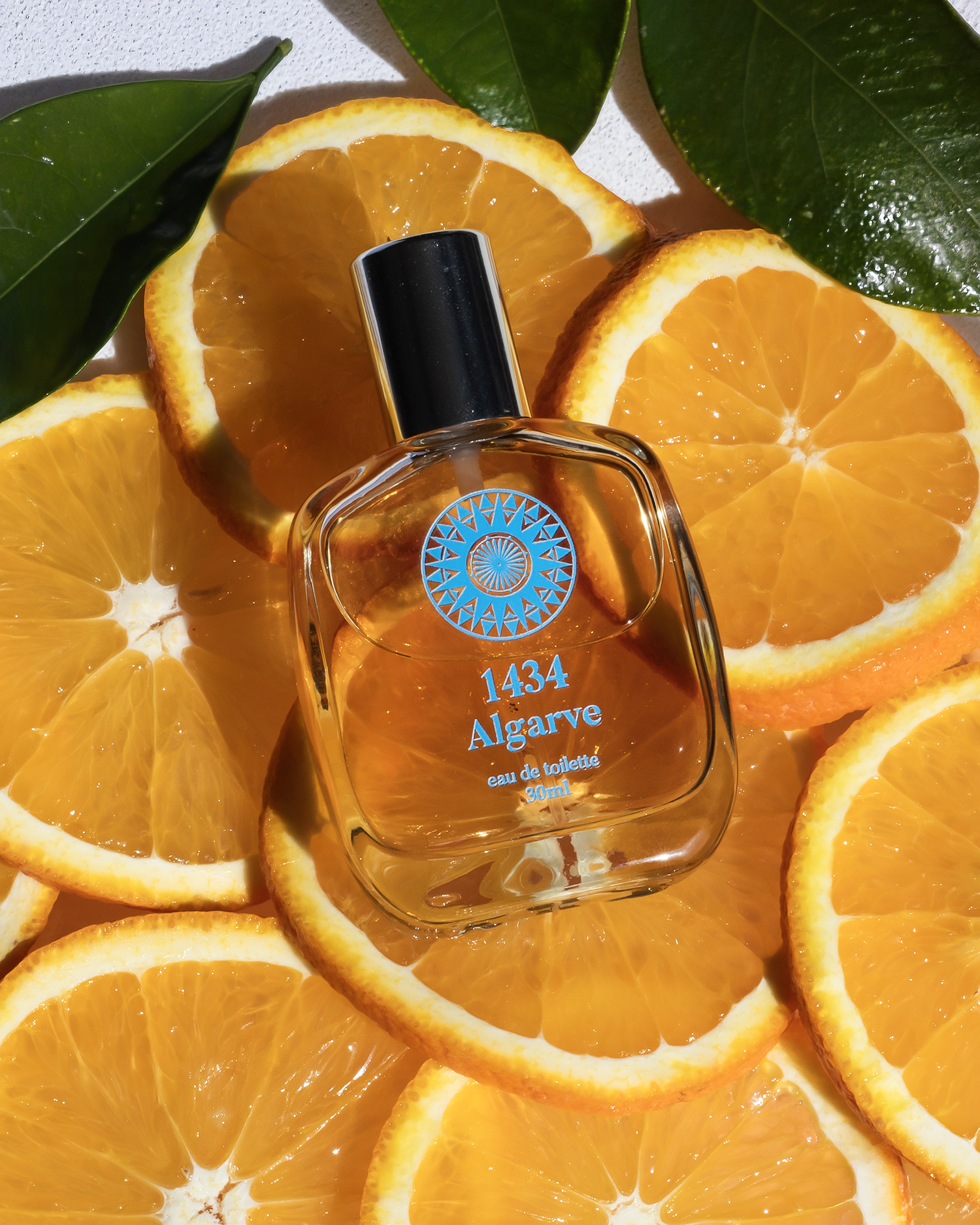 Citrus-inspired product composition