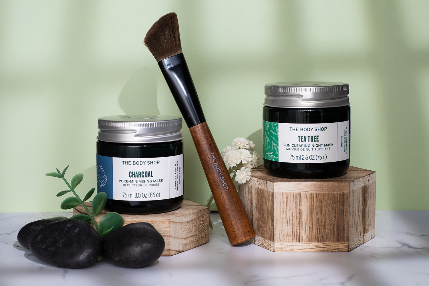 Botanical skincare composition