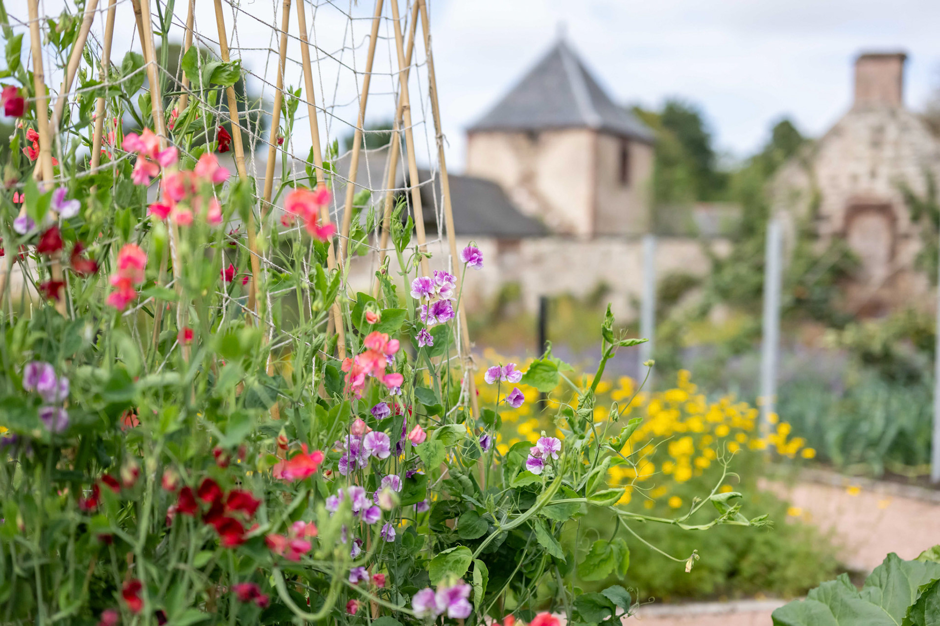 Picture by Michal Wachucik/Abermedia