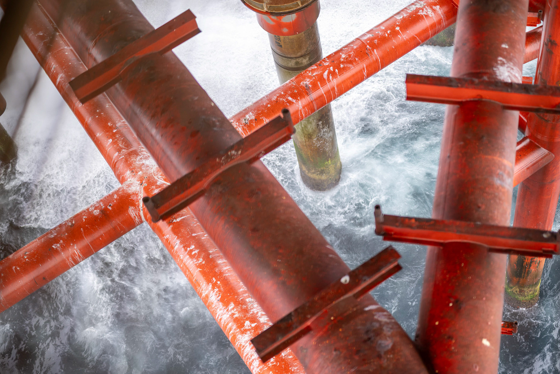 Picture by Michal Wachucik/Abermedia