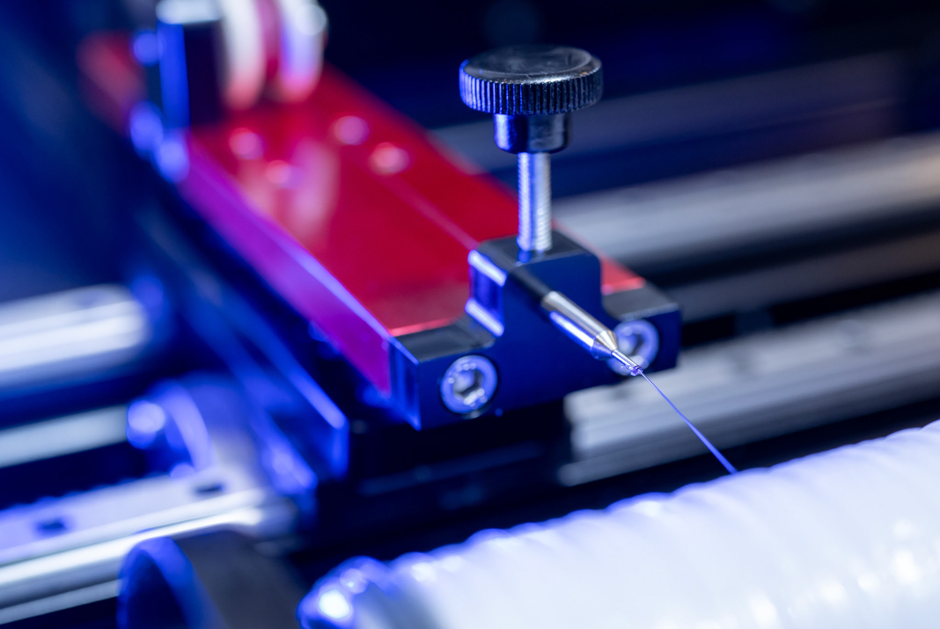 Picture by Michal Wachucik/Abermedia