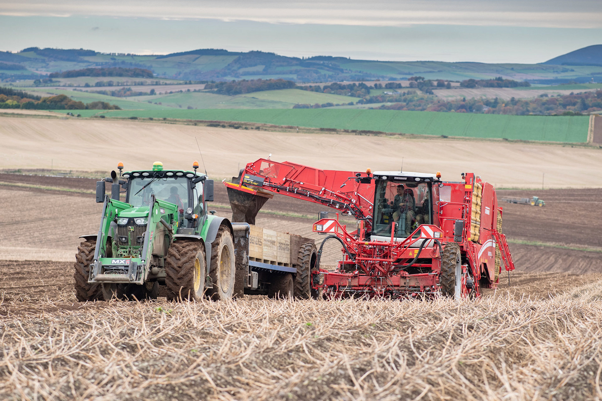 Picture by Michal Wachucik/Abermedia
